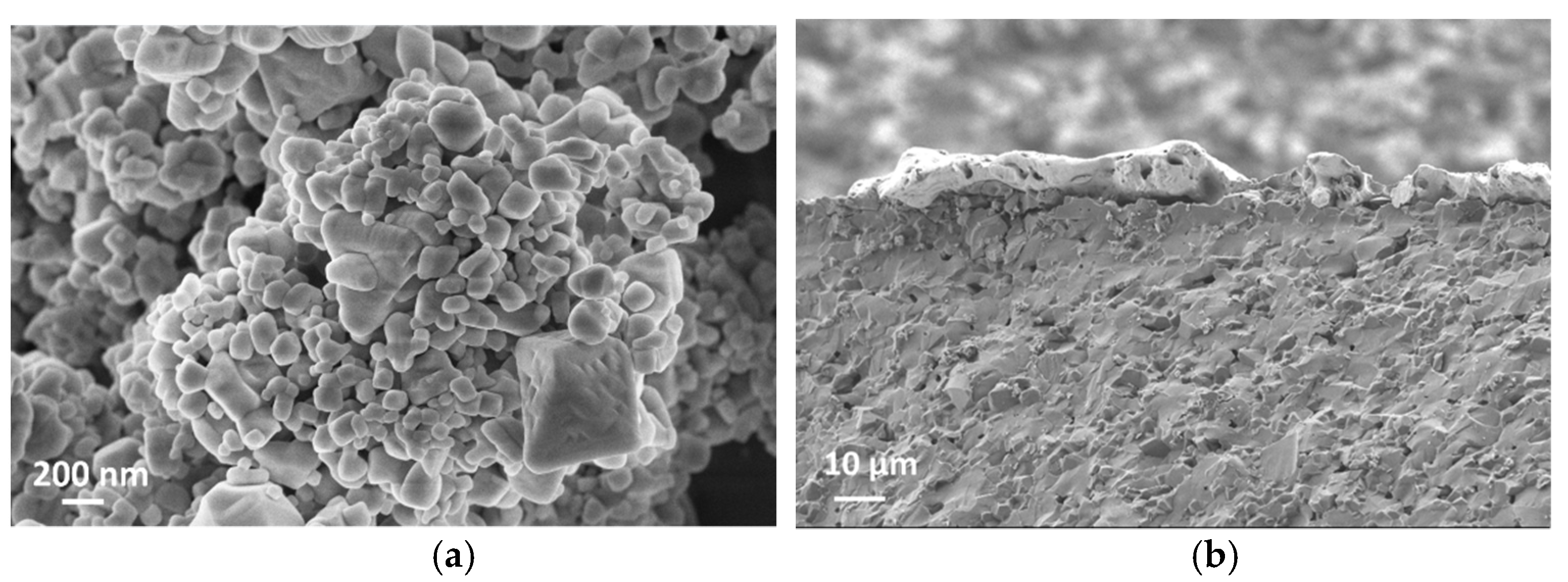 Chemosensors 09 00247 g005a