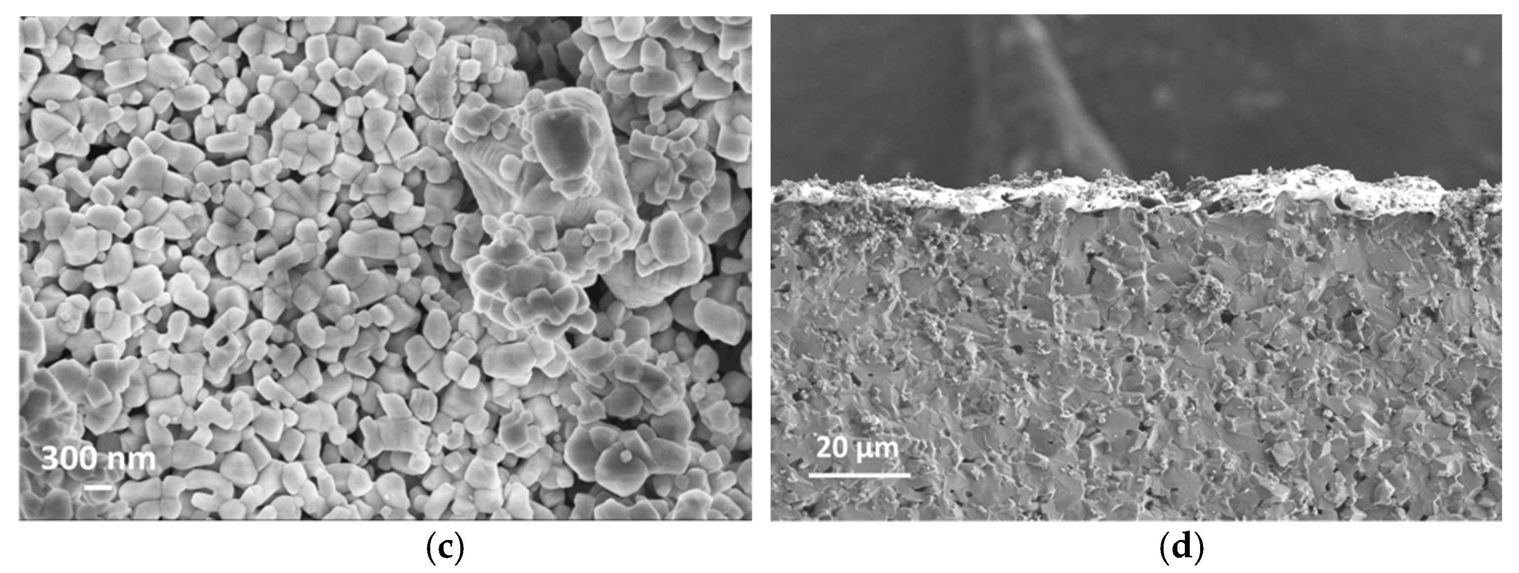 Chemosensors 09 00247 g005b