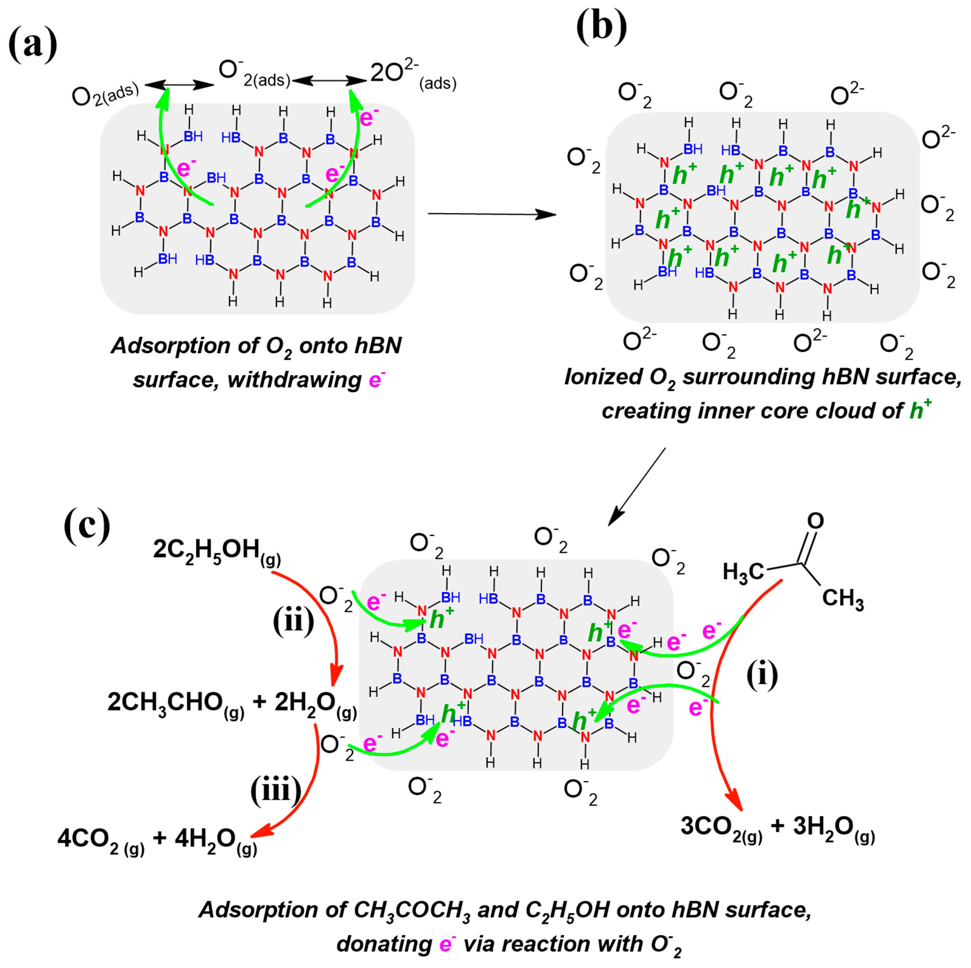 Chemosensors 09 00263 sch002