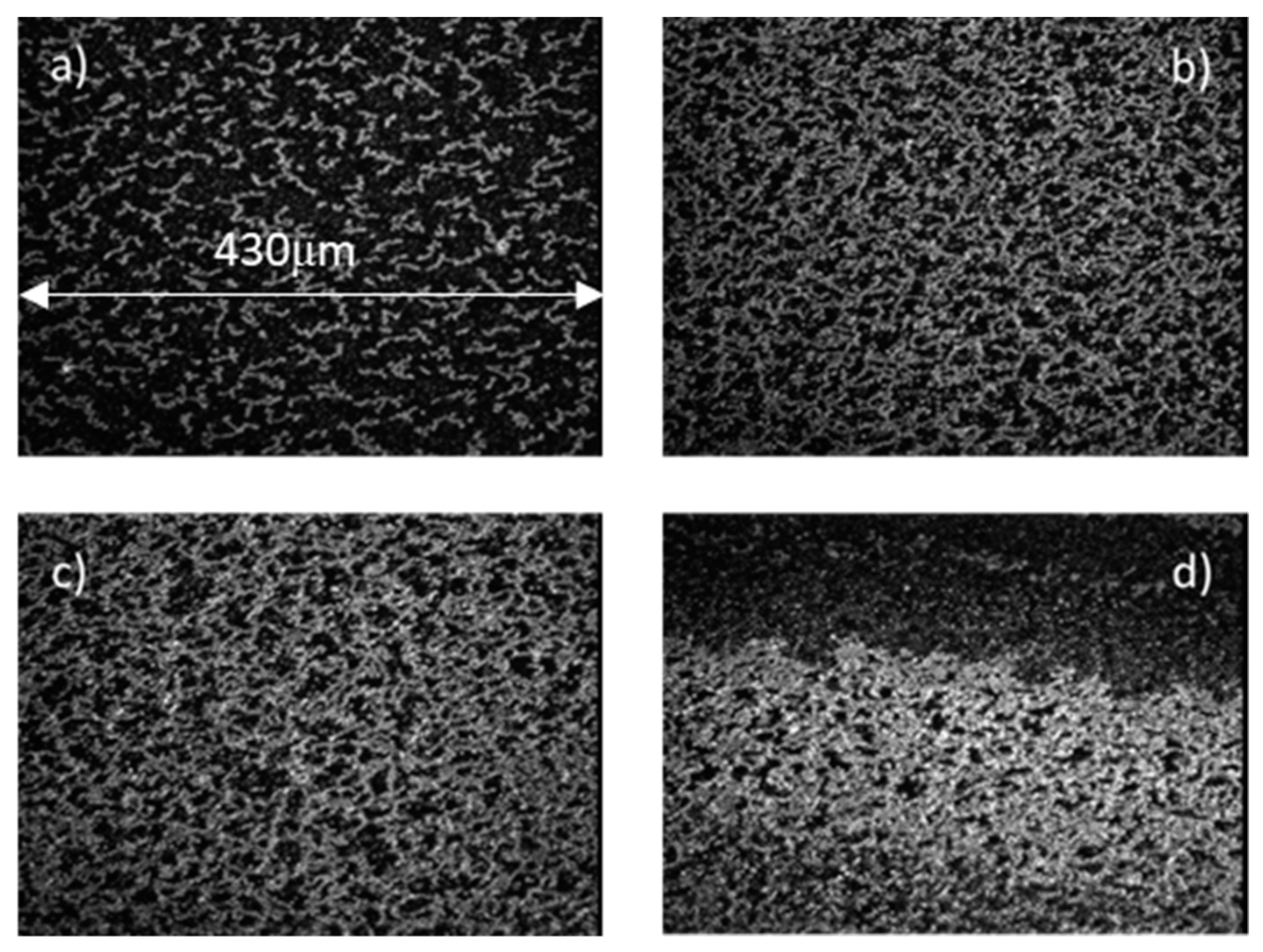Chemosensors 09 00272 g003