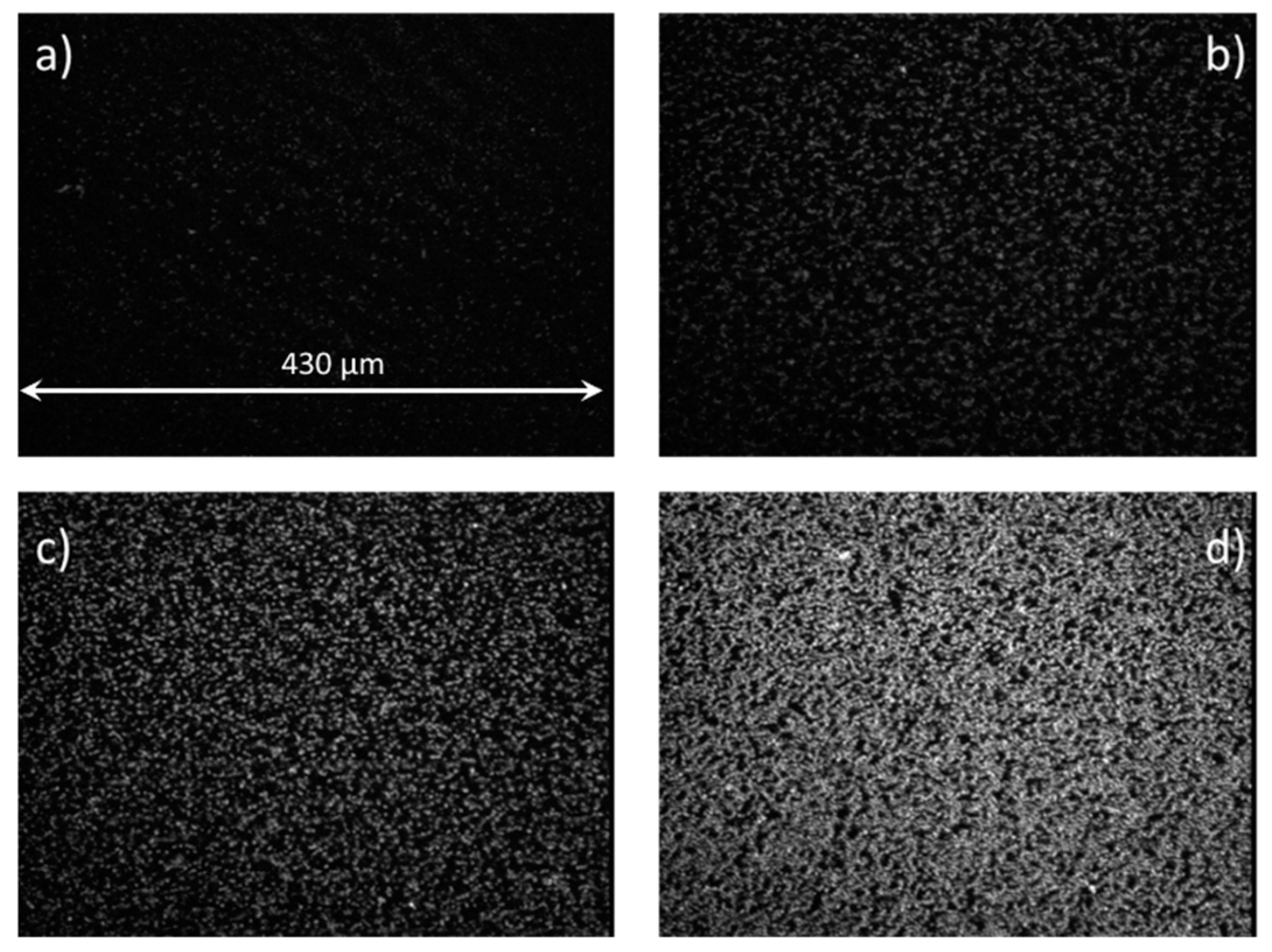 Chemosensors 09 00272 g004