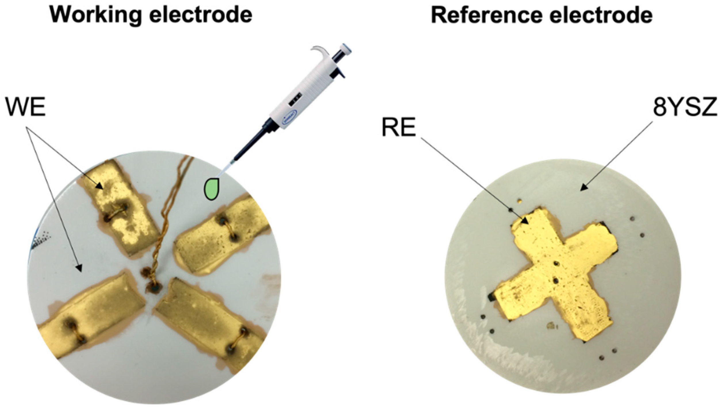 Chemosensors 09 00274 g001