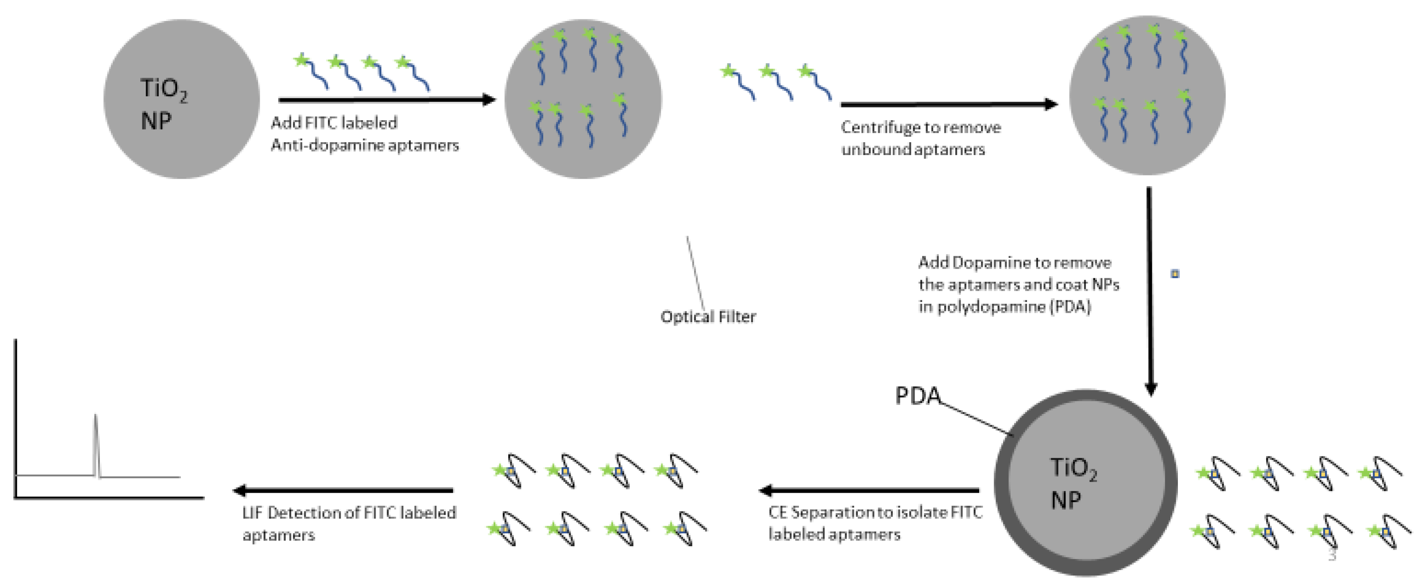 Chemosensors 09 00275 g003