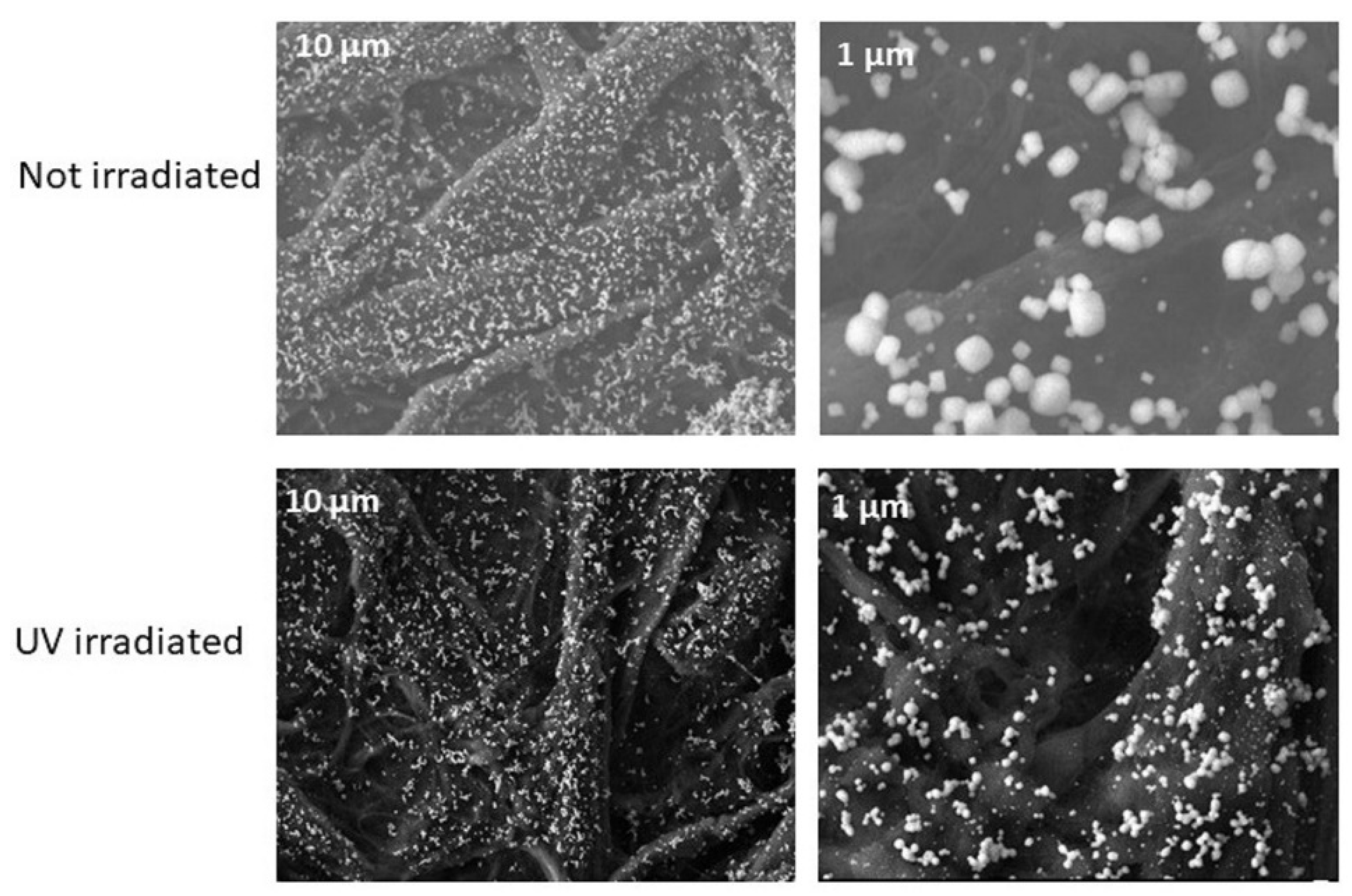 Chemosensors 09 00286 g004