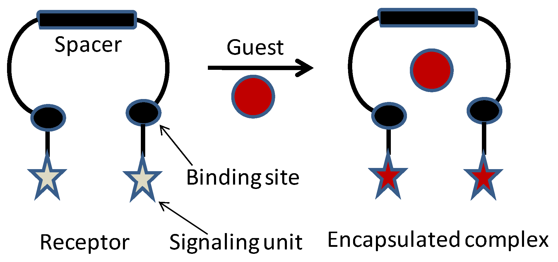 Chemosensors 09 00287 sch001