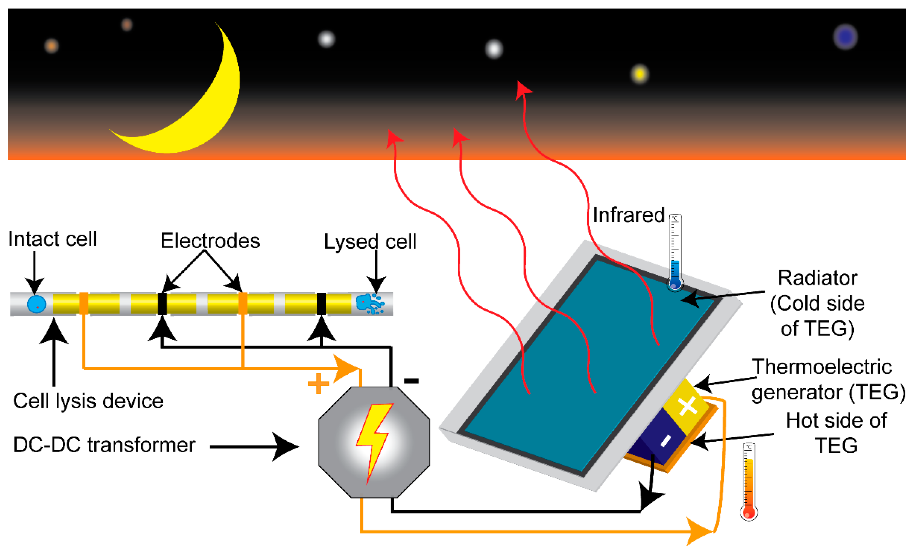 Chemosensors 09 00292 g001