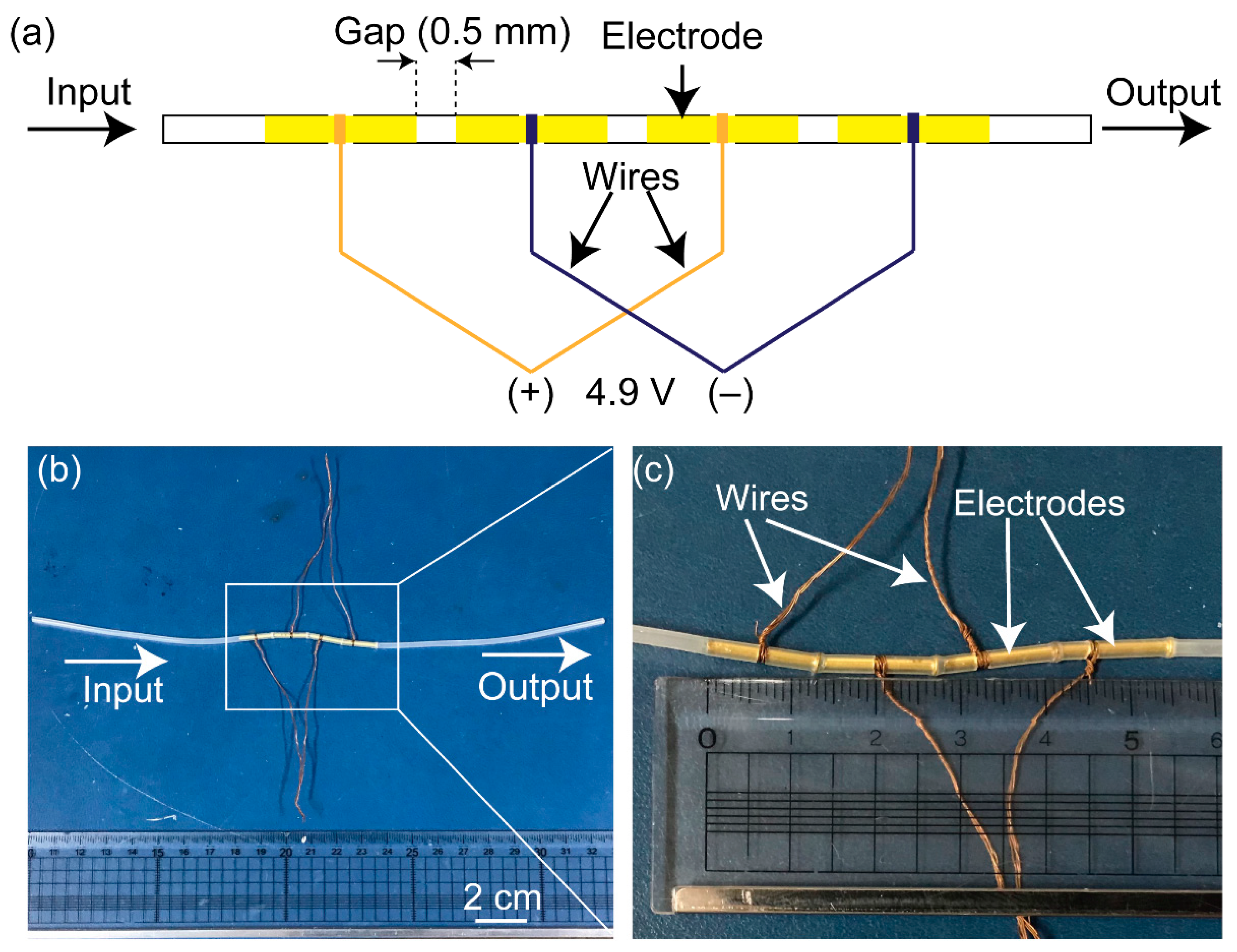 Chemosensors 09 00292 g002