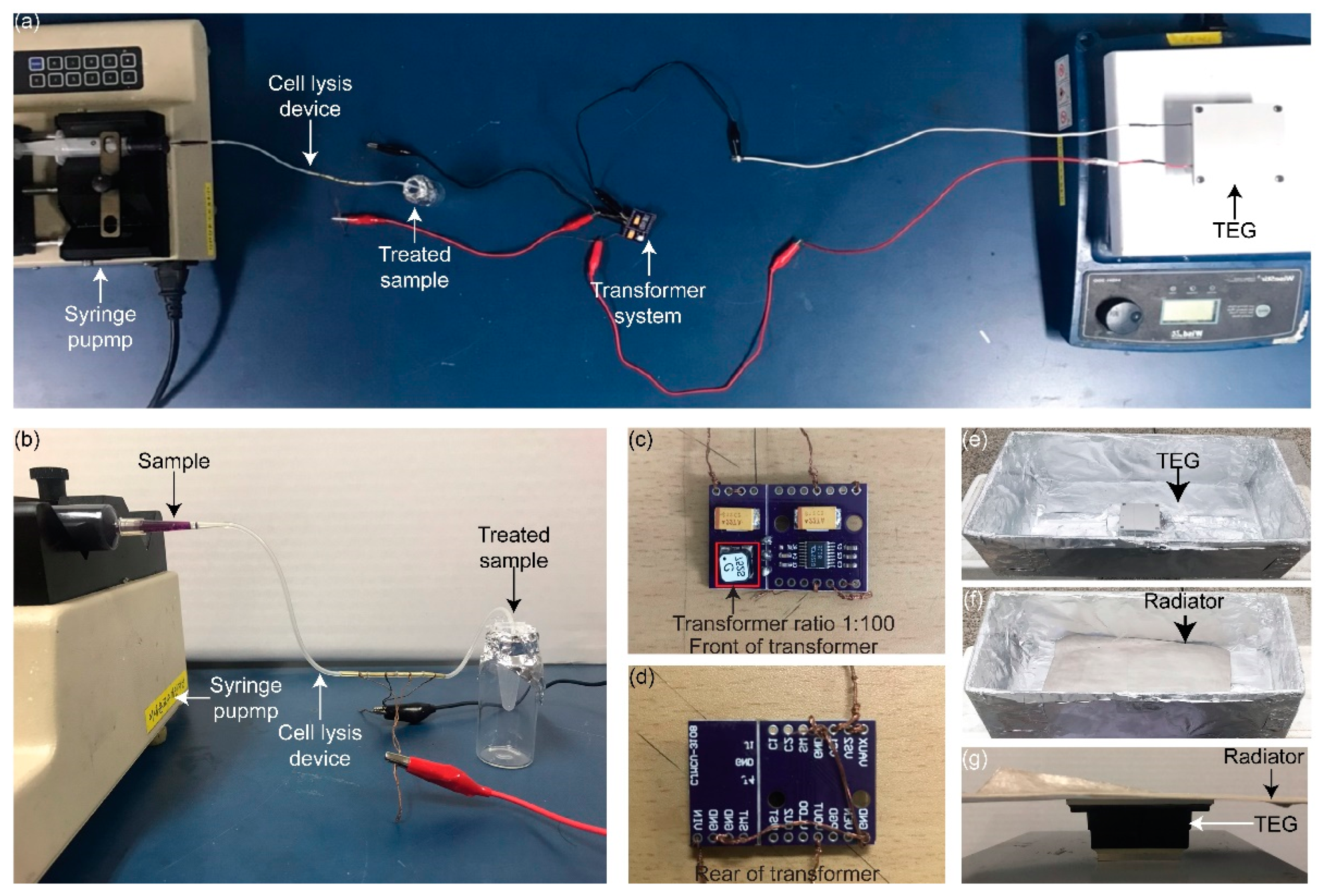 Chemosensors 09 00292 g004
