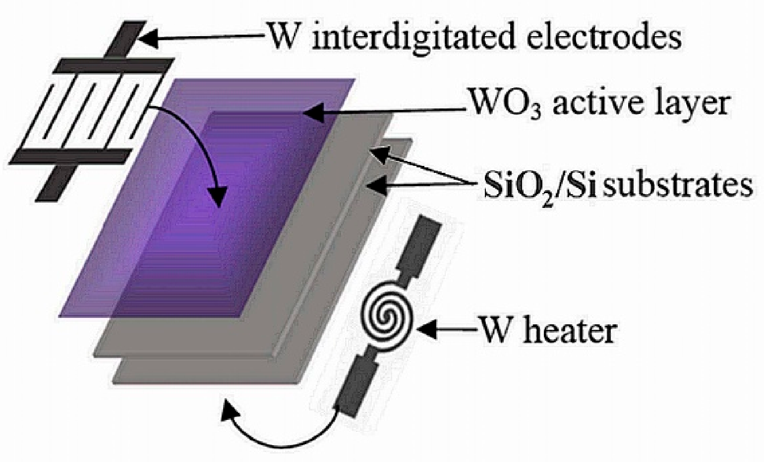 Chemosensors 09 00295 g001