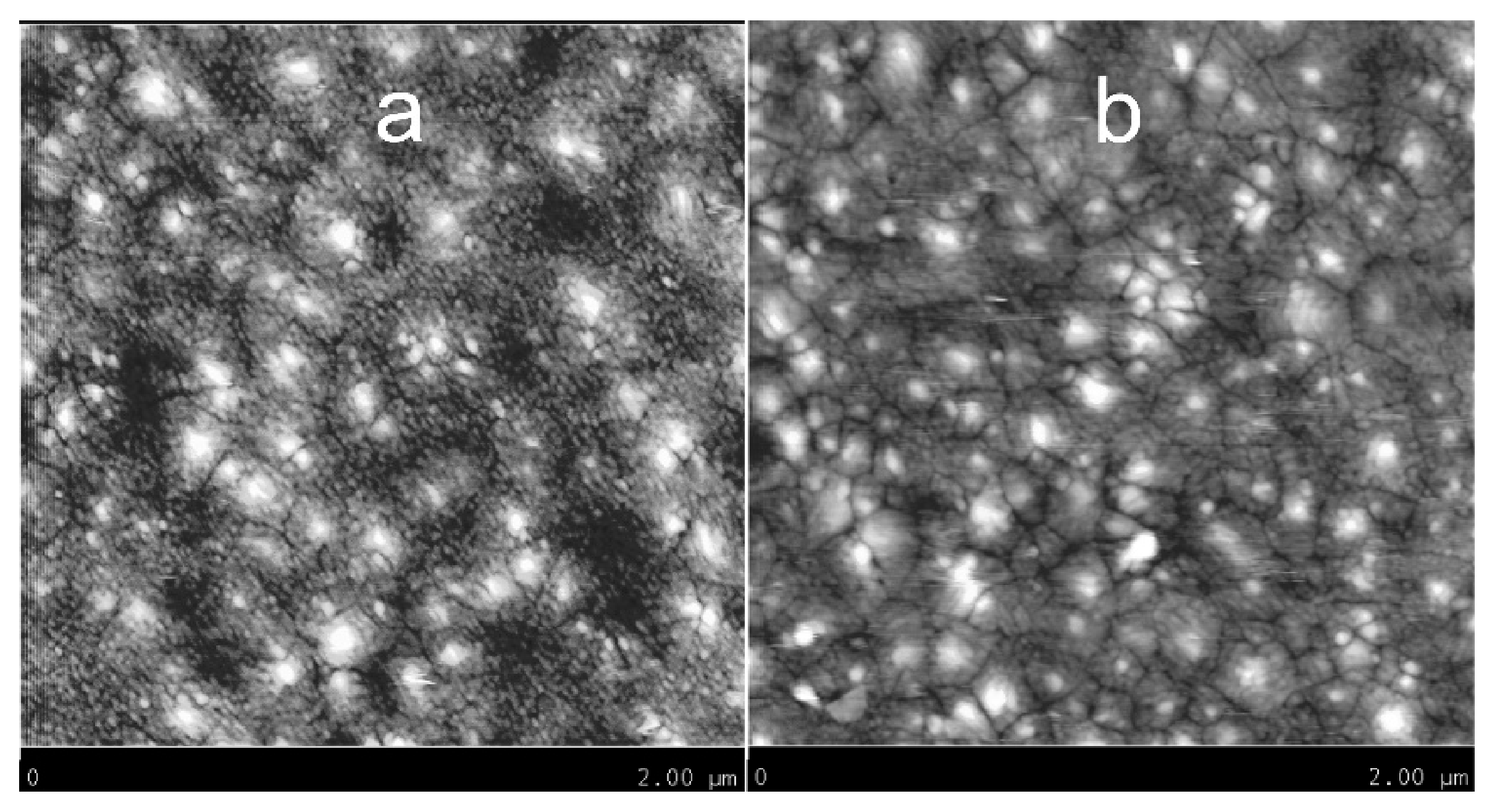 Chemosensors 09 00295 g005