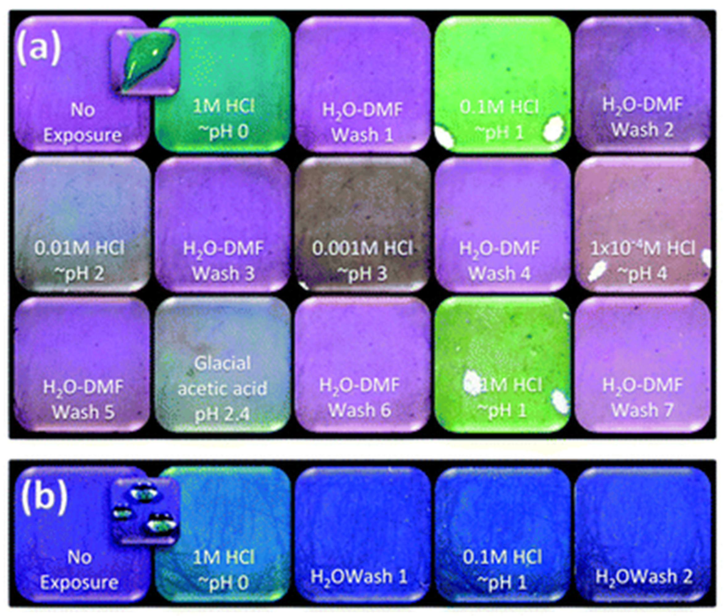 Chemosensors 09 00295 g007