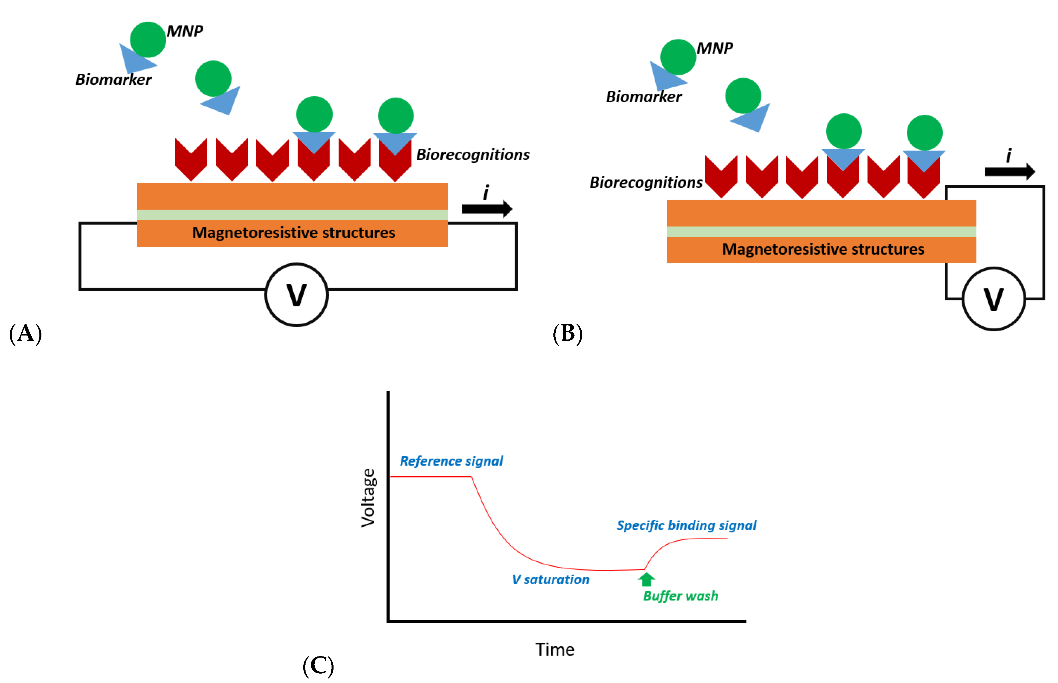 Chemosensors 09 00299 g001