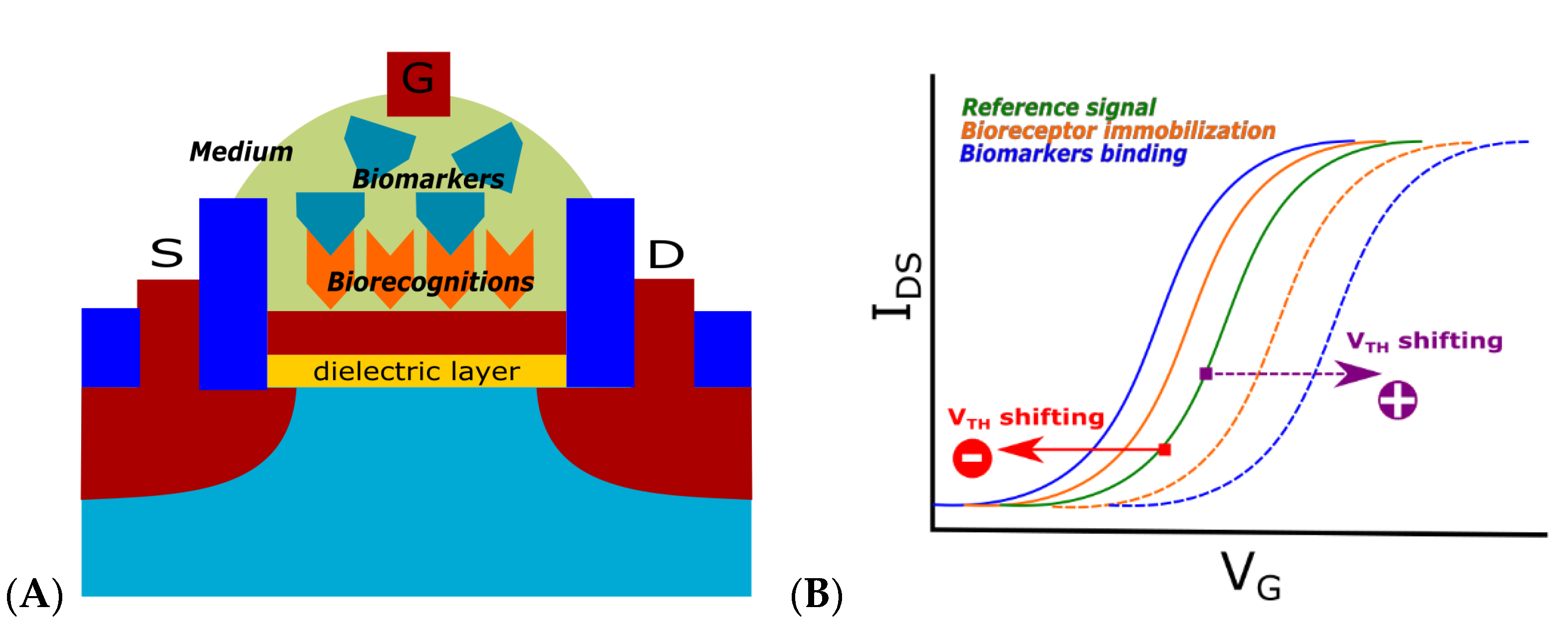Chemosensors 09 00299 g002