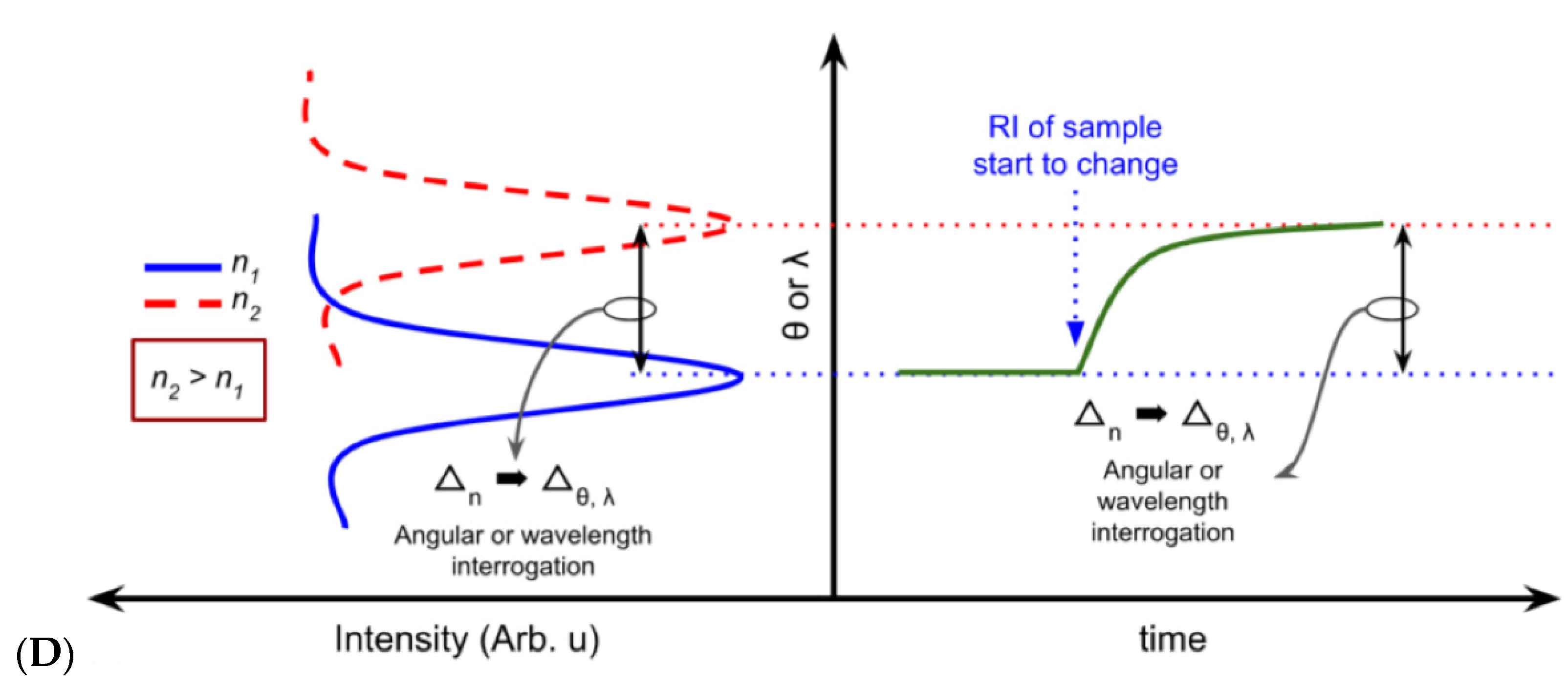 Chemosensors 09 00299 g004b
