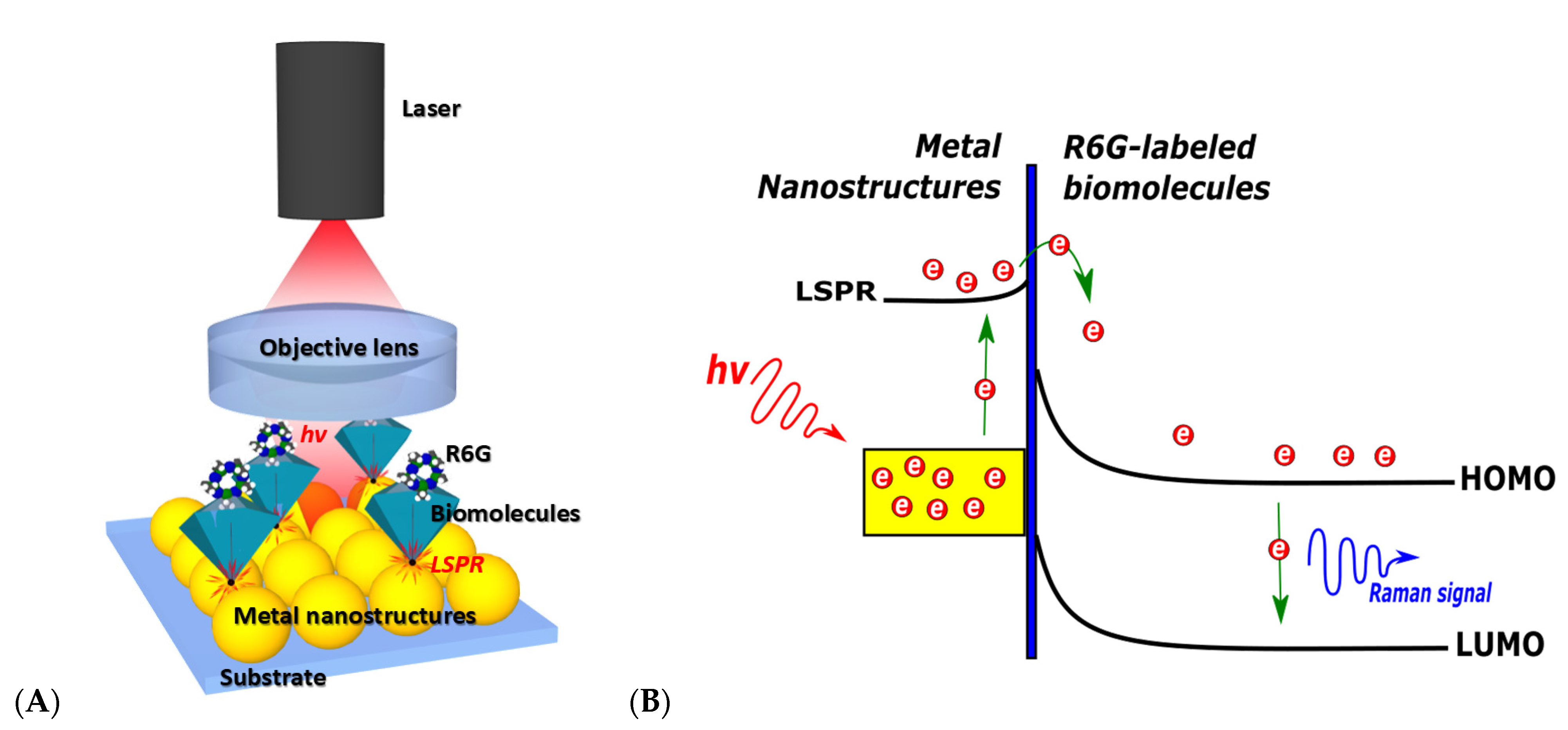Chemosensors 09 00299 g005