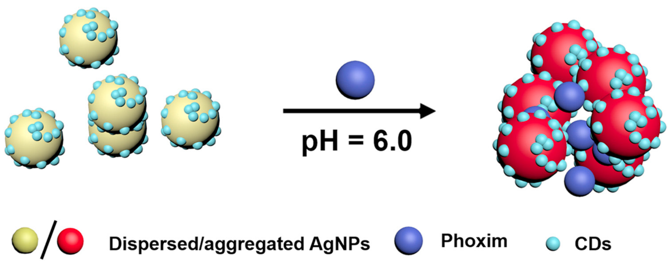 Chemosensors 09 00305 g005