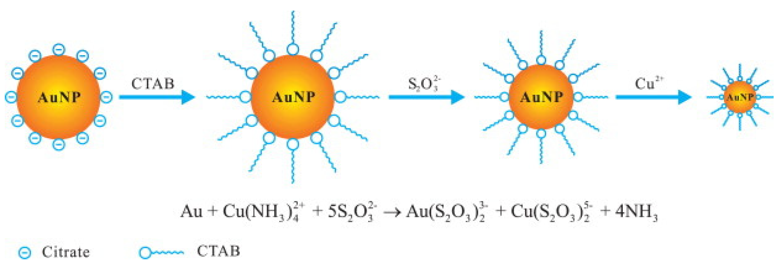 Chemosensors 09 00305 g008