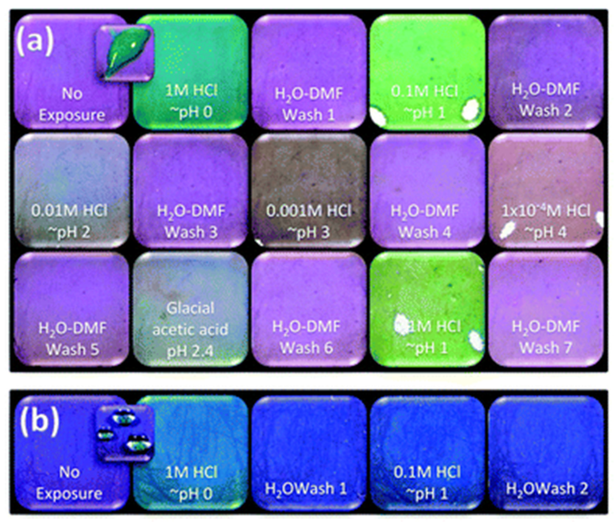 Chemosensors 09 00306 g007