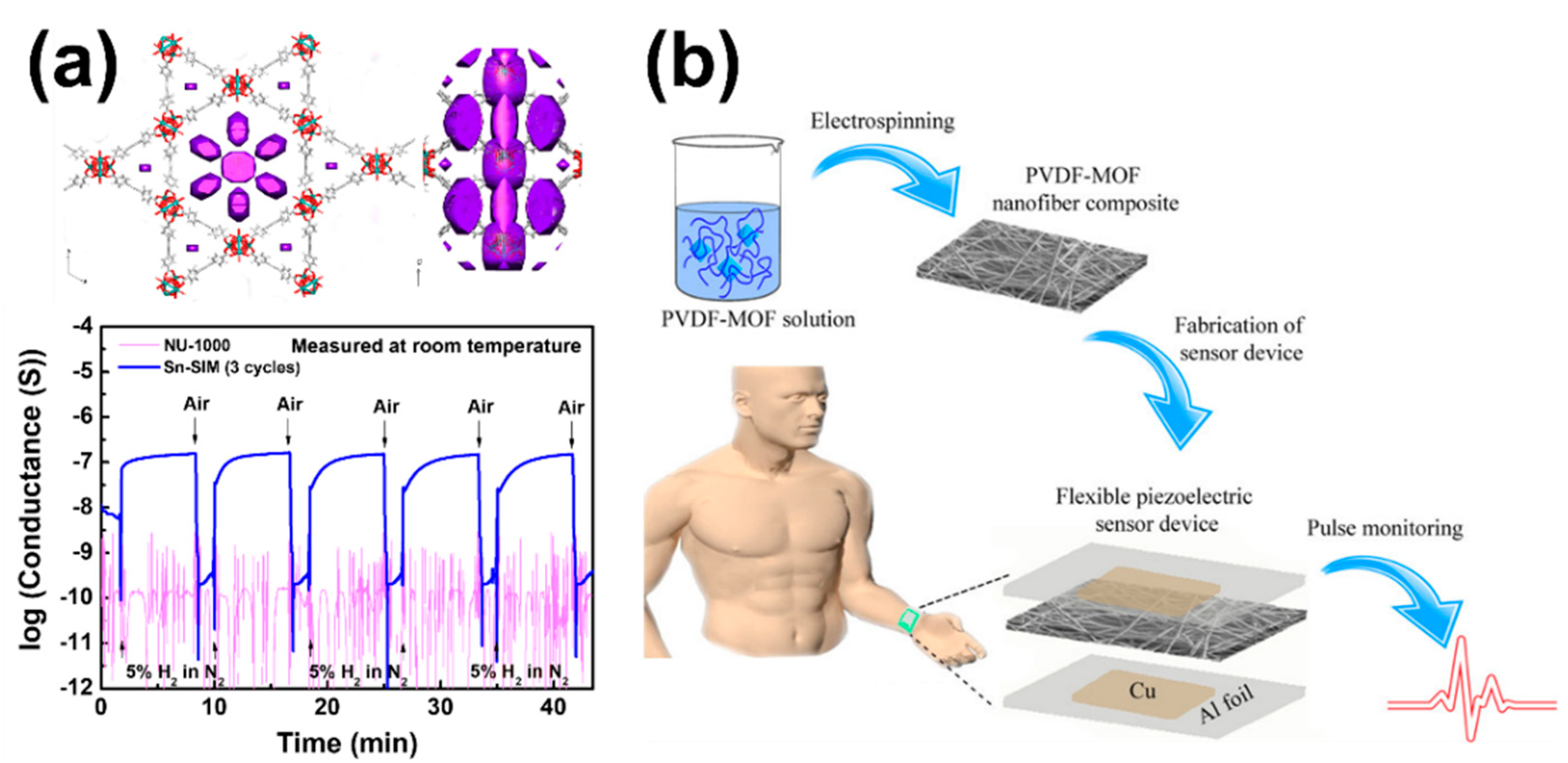 Chemosensors 09 00306 g010