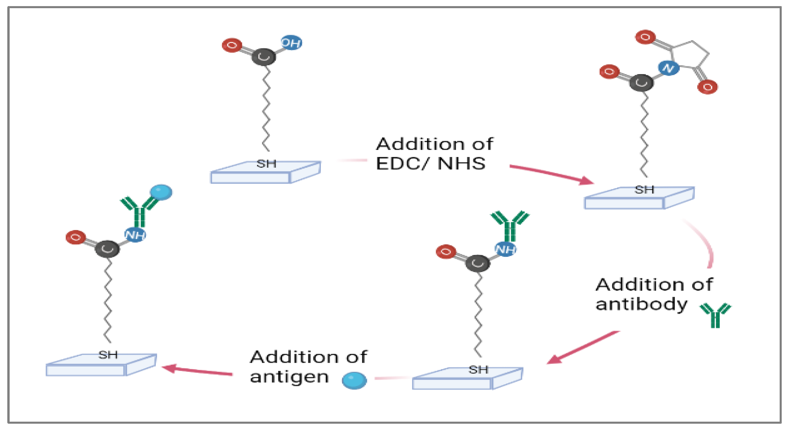 Chemosensors 09 00307 g002