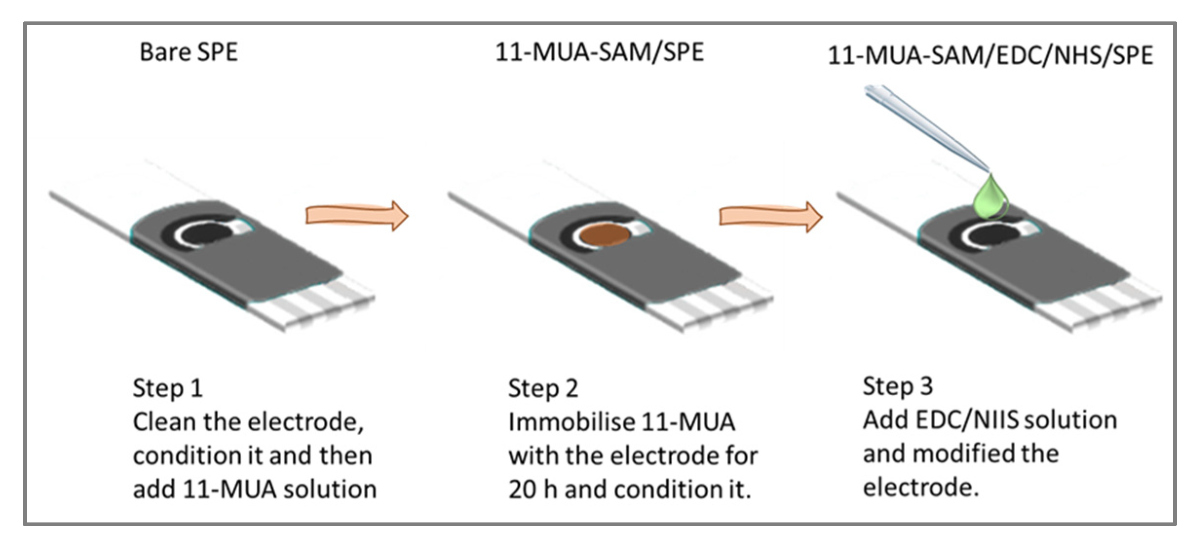 Chemosensors 09 00307 g003