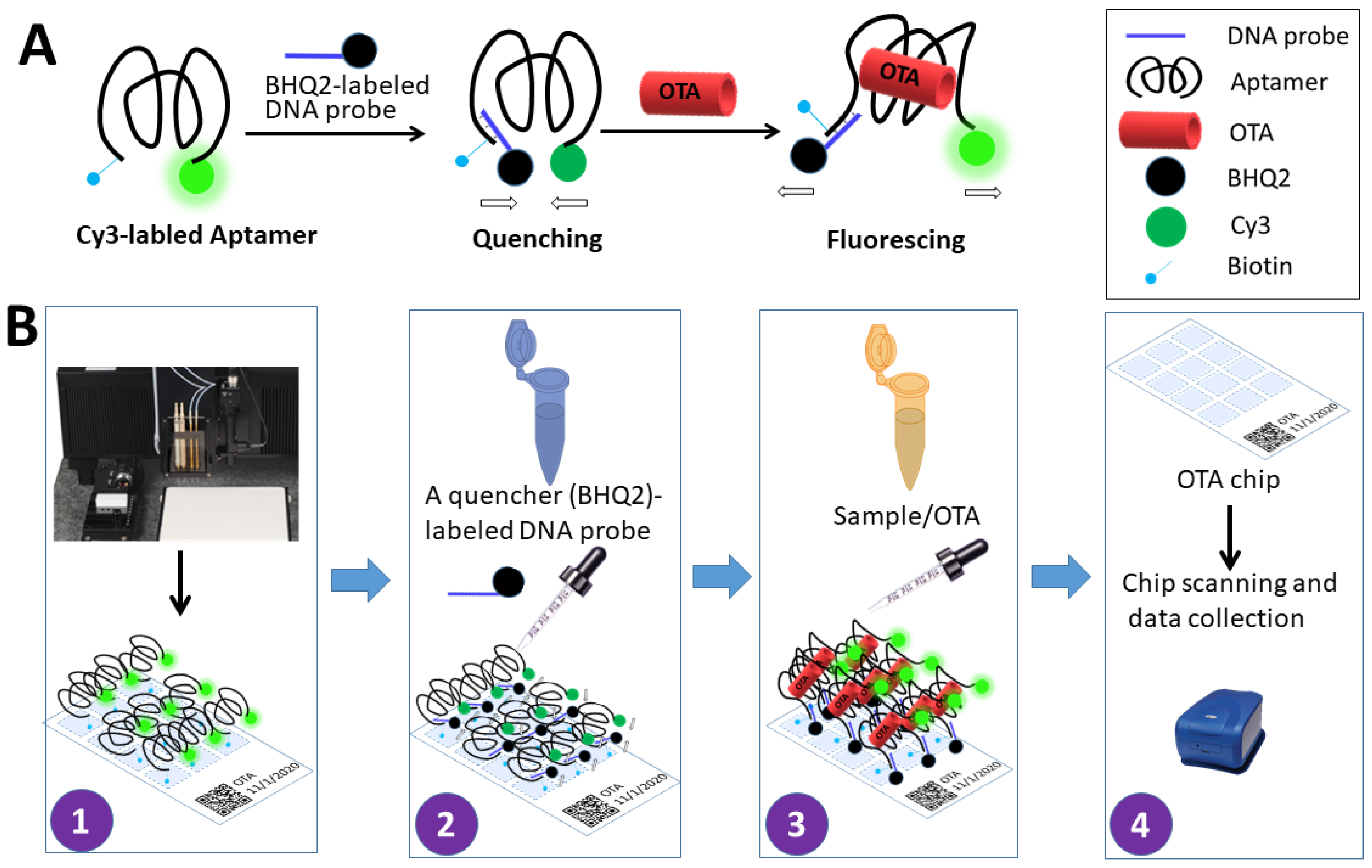 Chemosensors 09 00309 g001