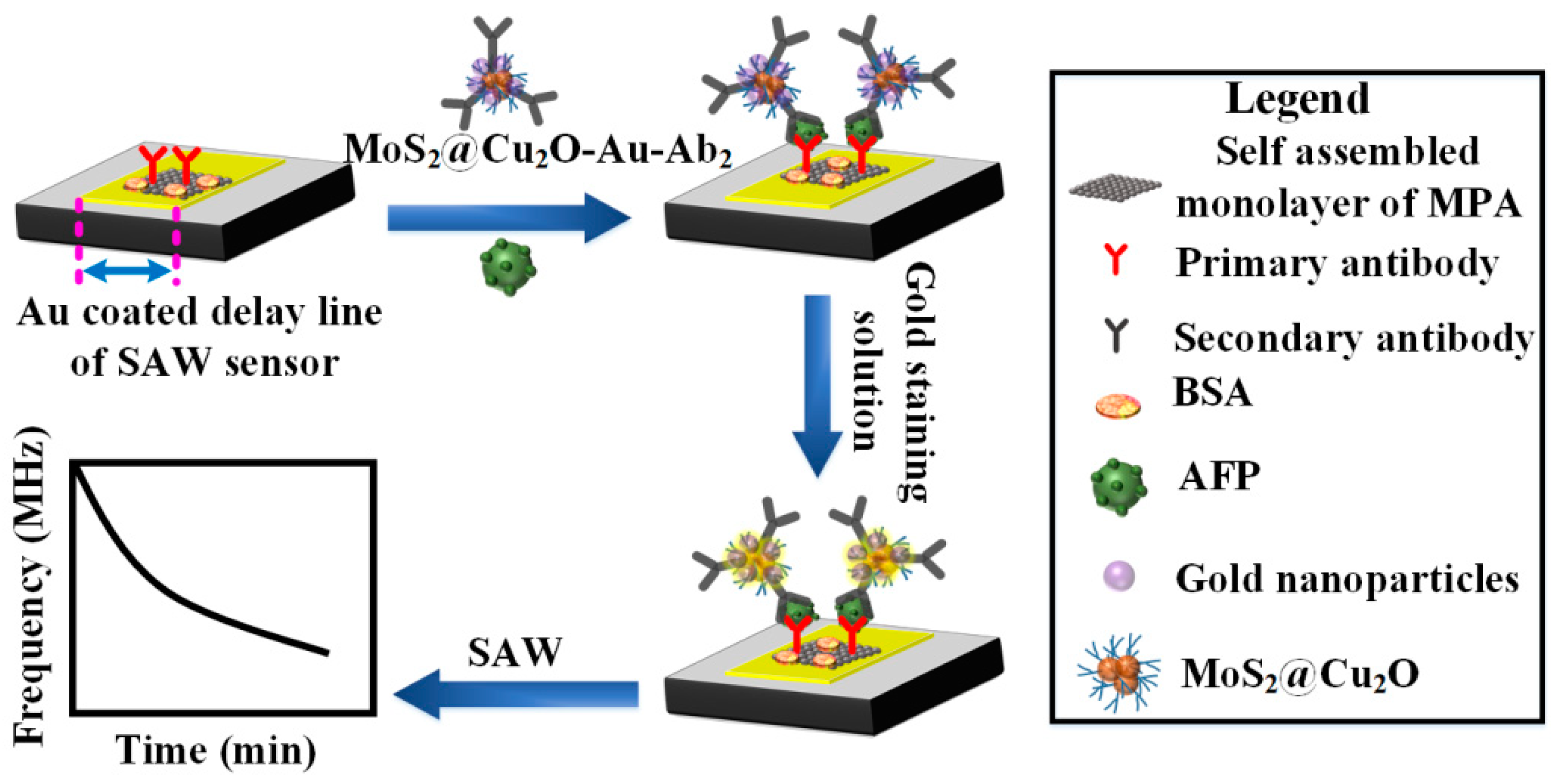 Chemosensors 09 00311 g001