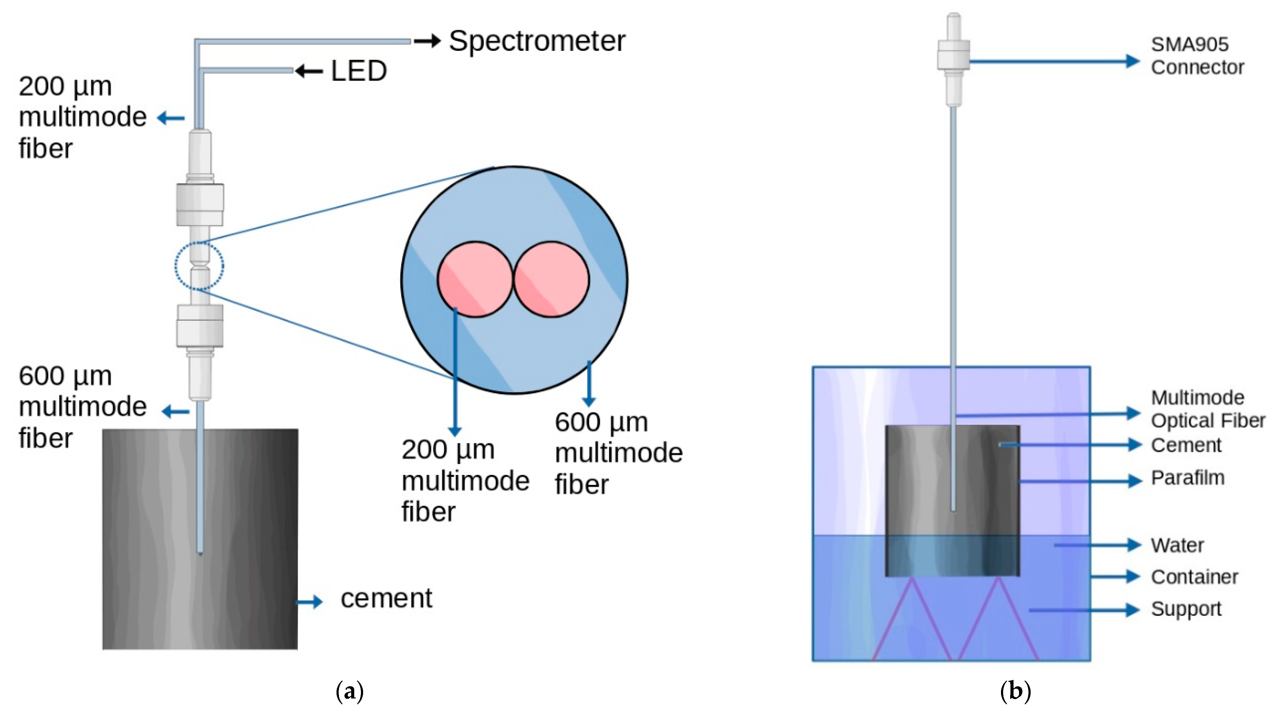 Chemosensors 09 00312 g001