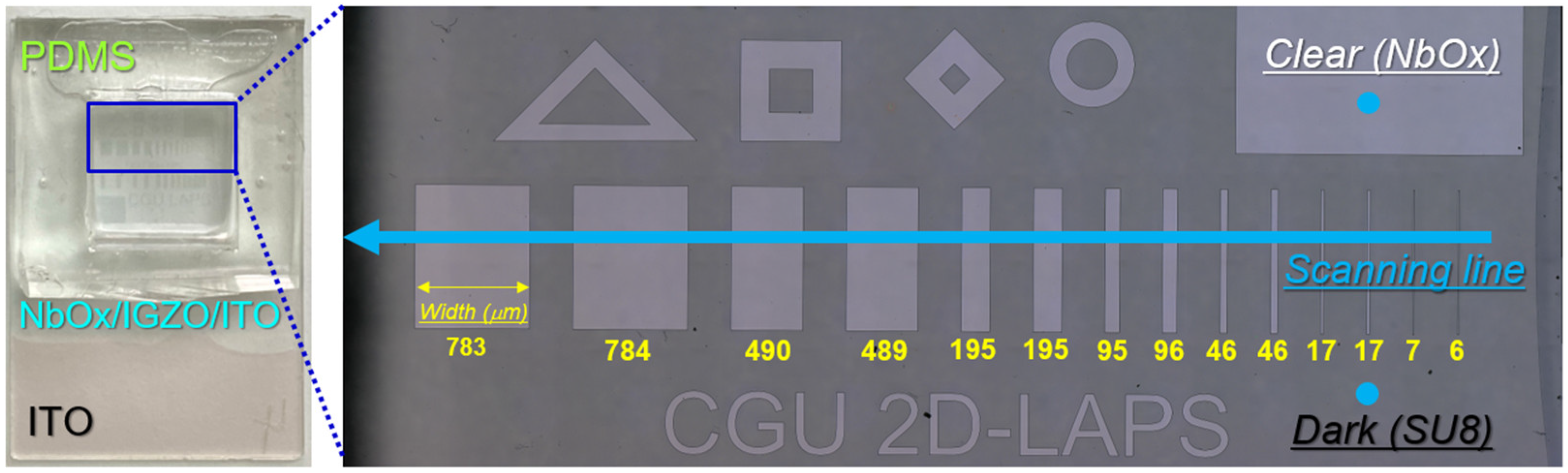 Chemosensors 09 00313 g001