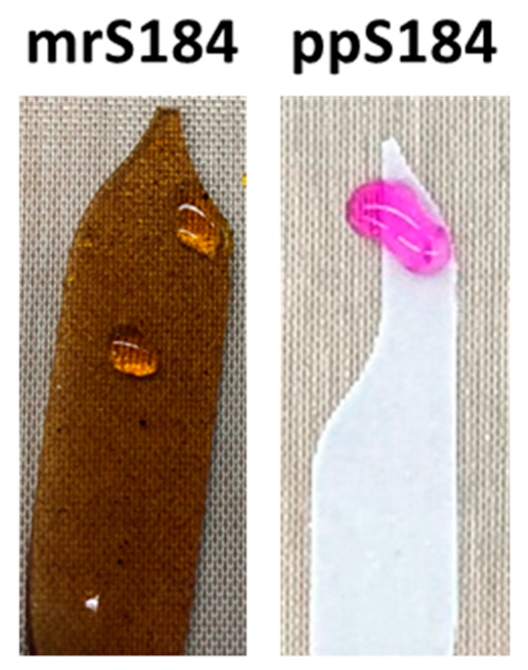 Chemosensors 09 00317 g005