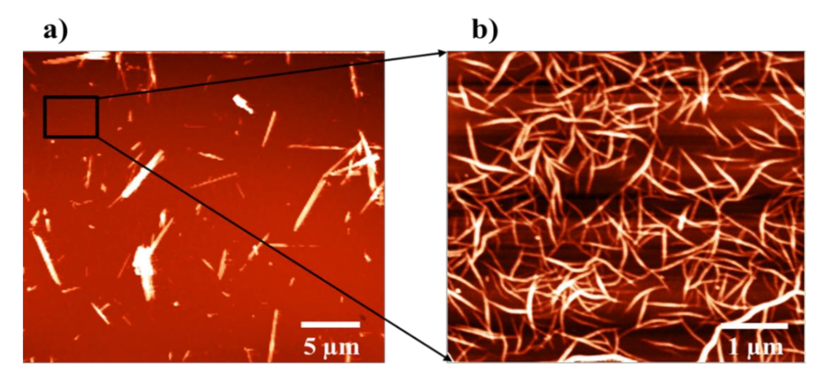 Chemosensors 09 00320 g002