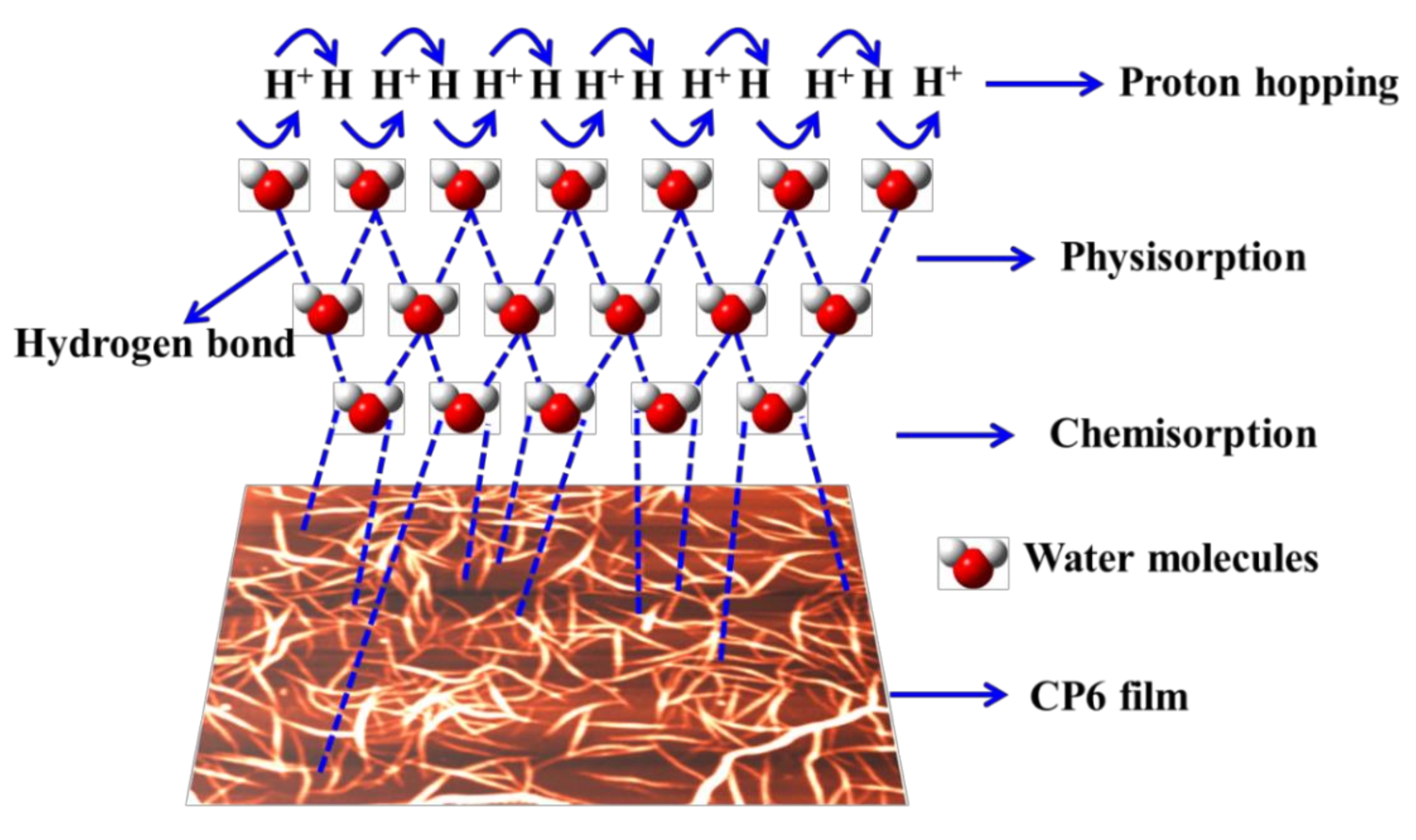 Chemosensors 09 00320 g005