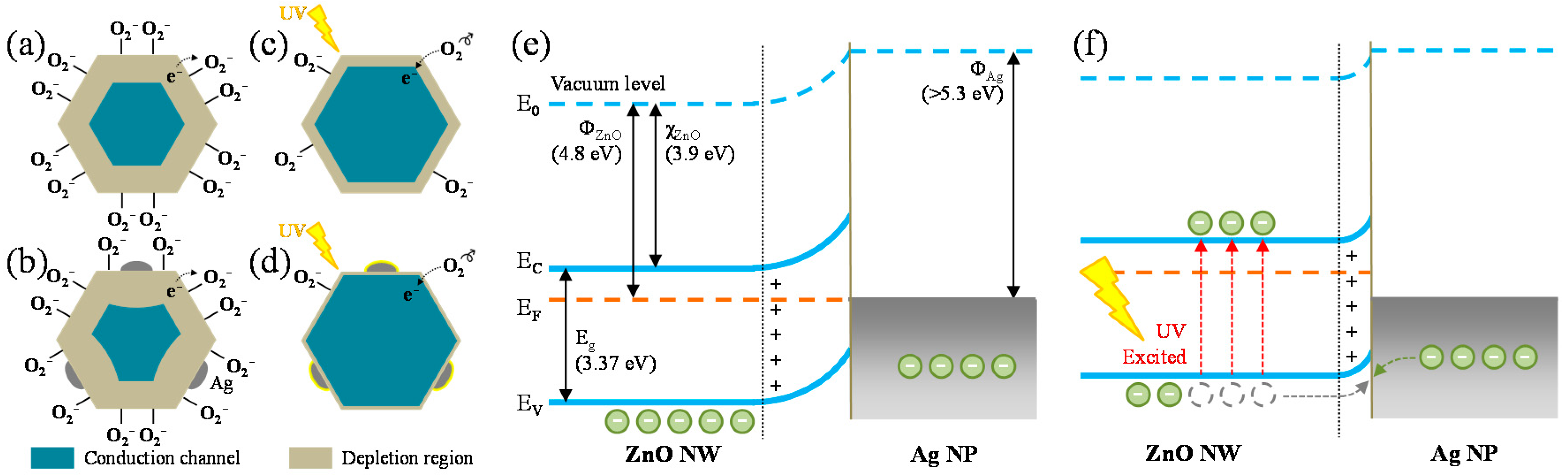 Chemosensors 09 00321 g010