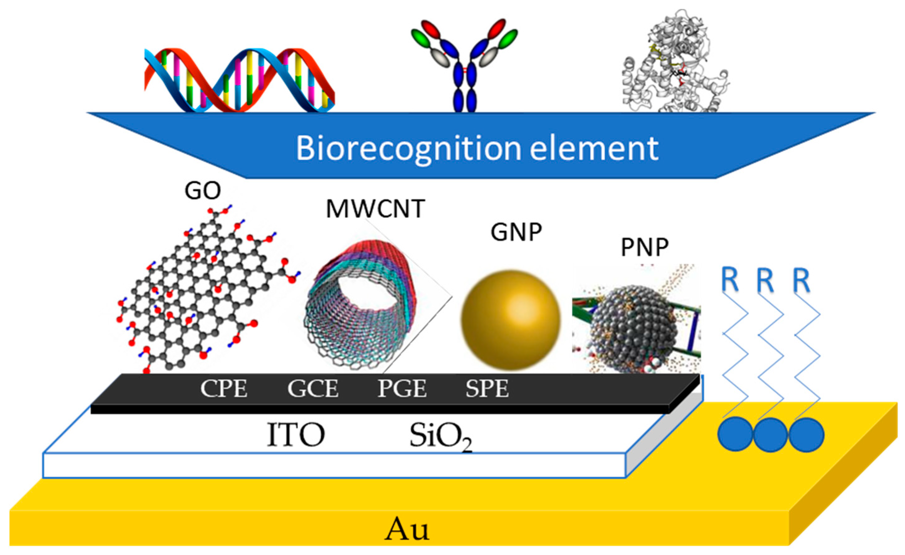 Chemosensors 09 00324 g004