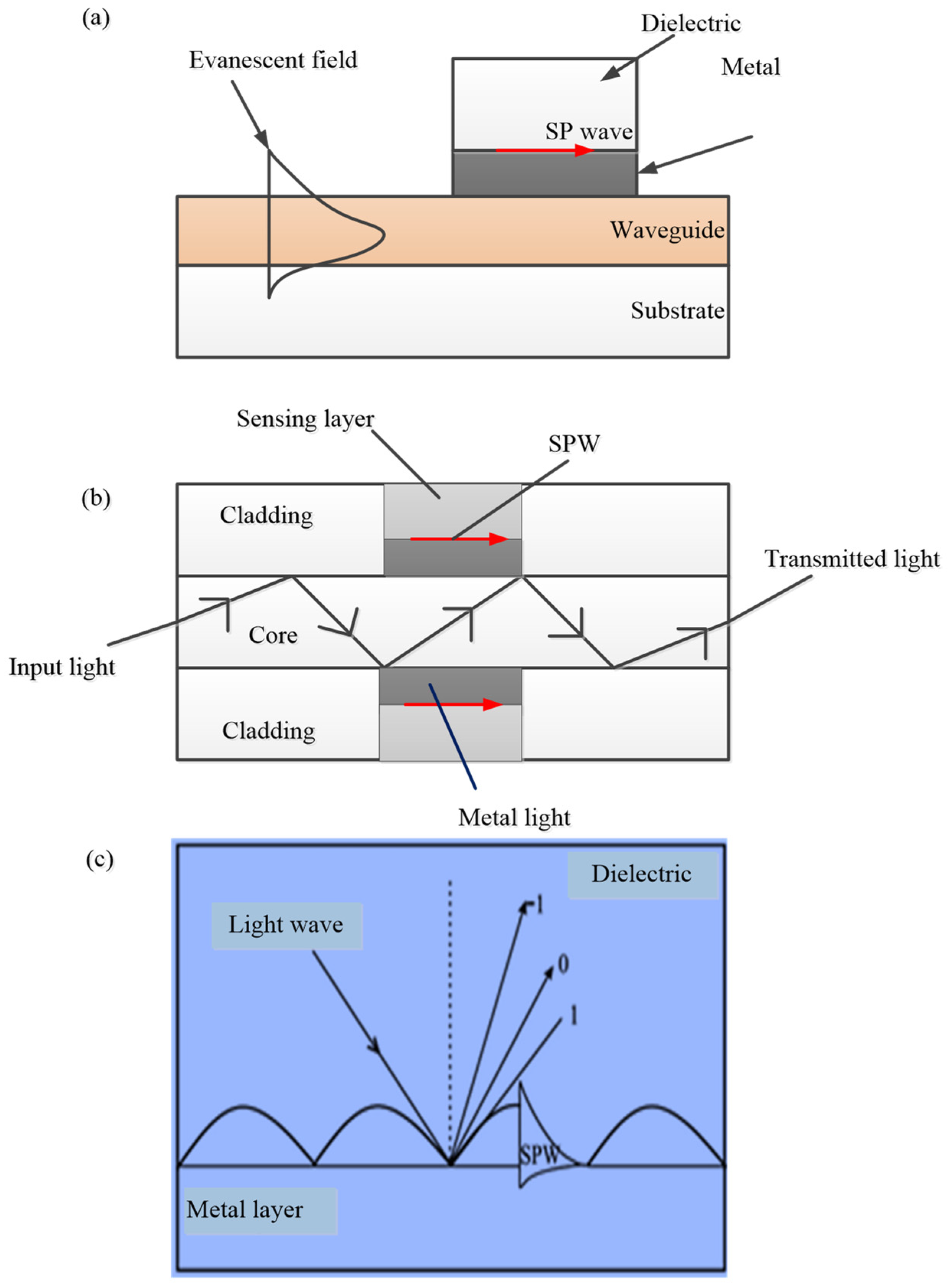 Chemosensors 09 00326 g005