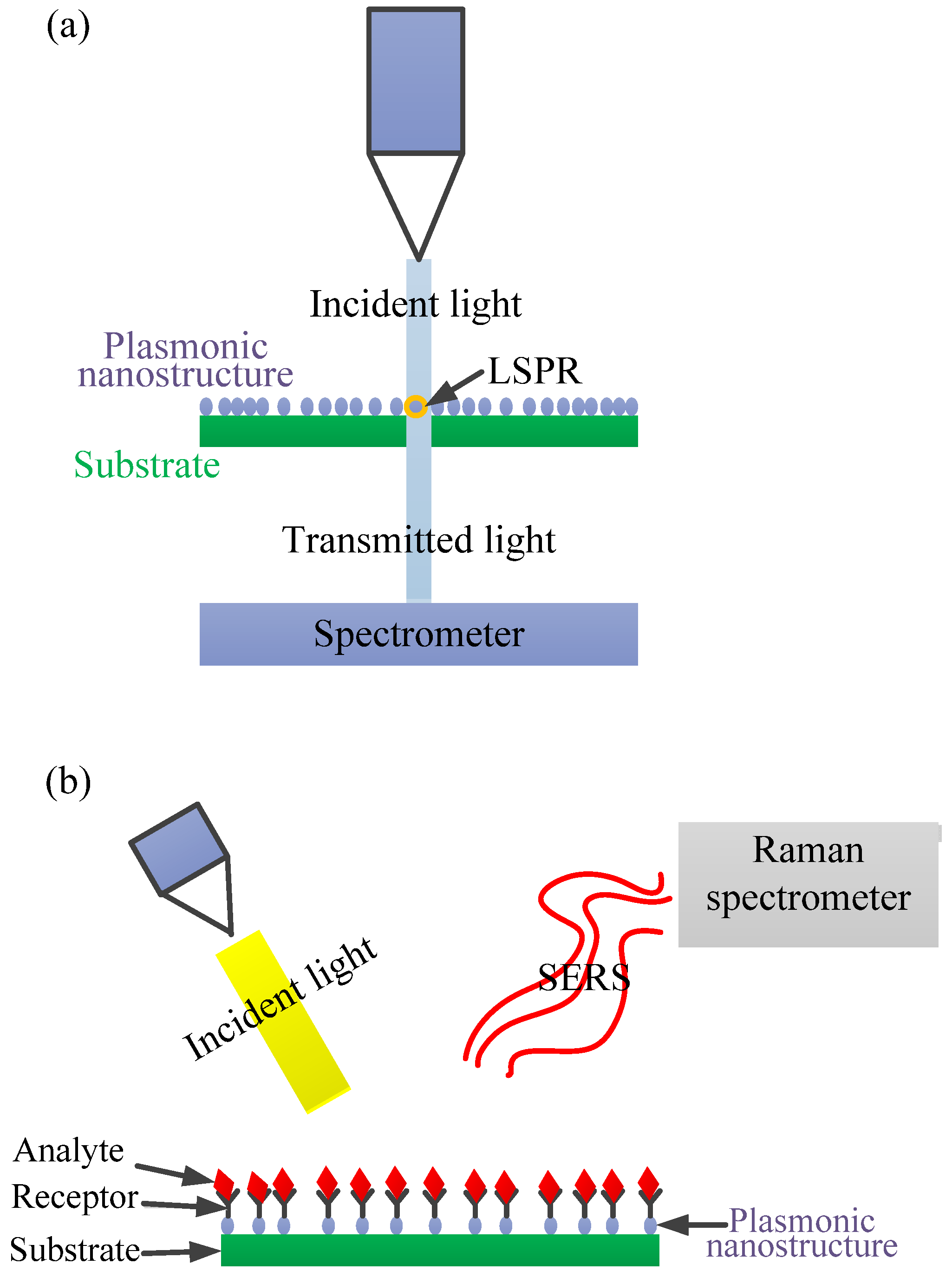 Chemosensors 09 00326 g008