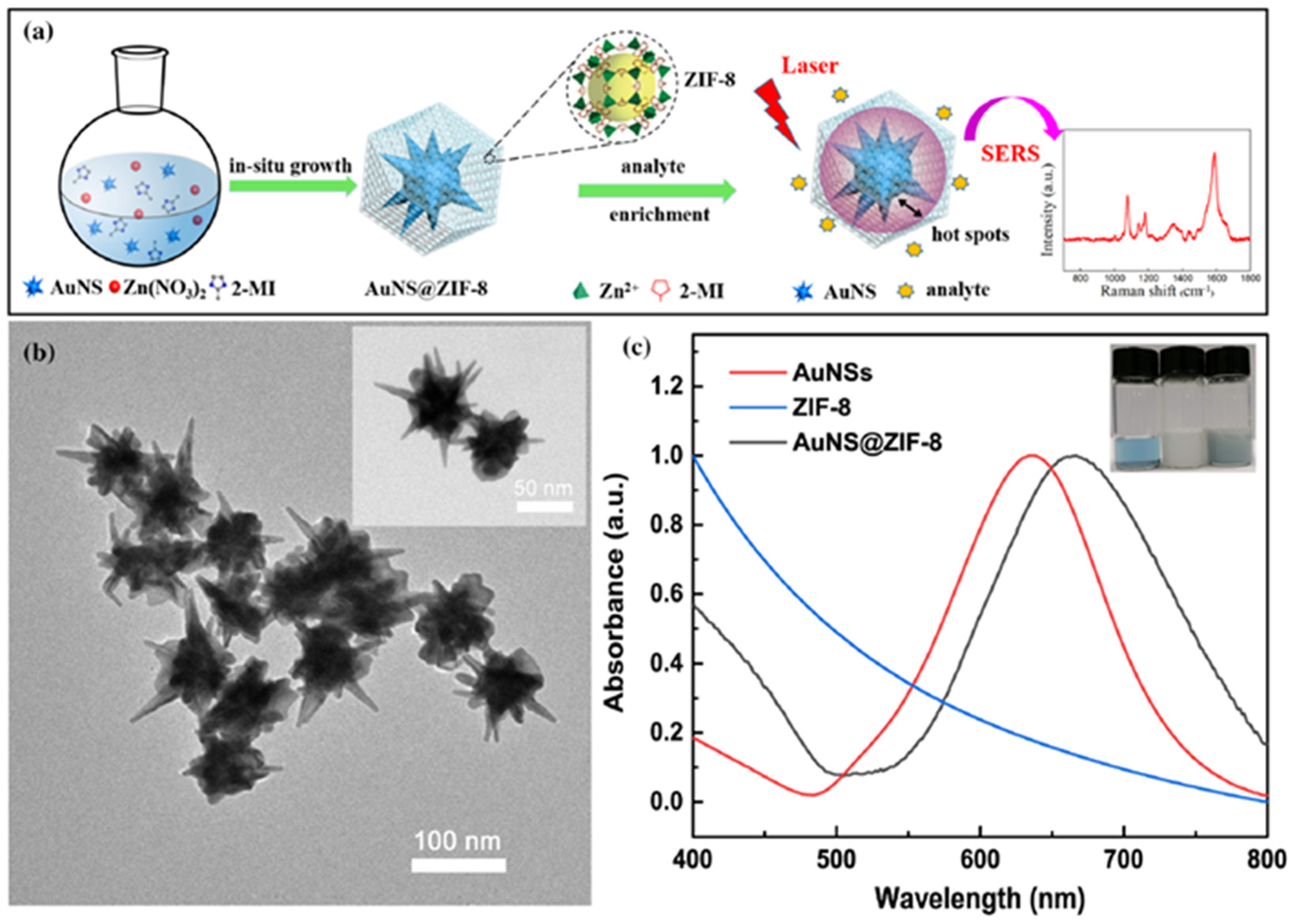 Chemosensors 09 00326 g012