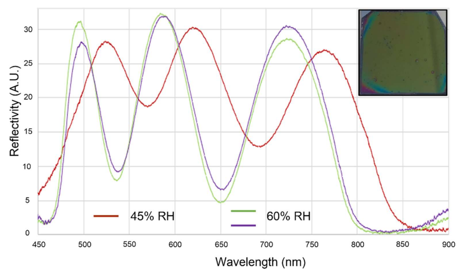 Chemosensors 09 00329 g001