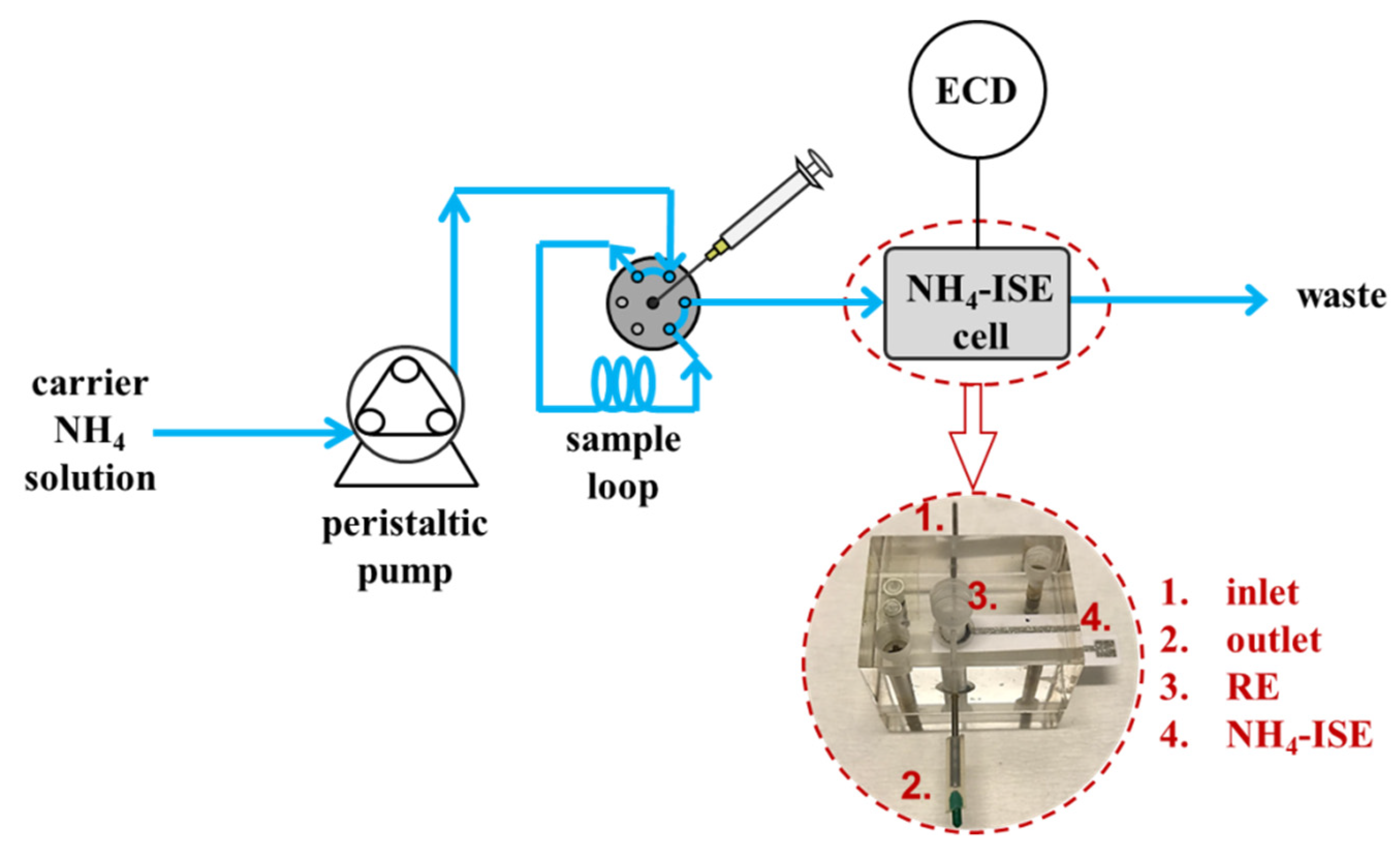 Chemosensors 09 00333 g001