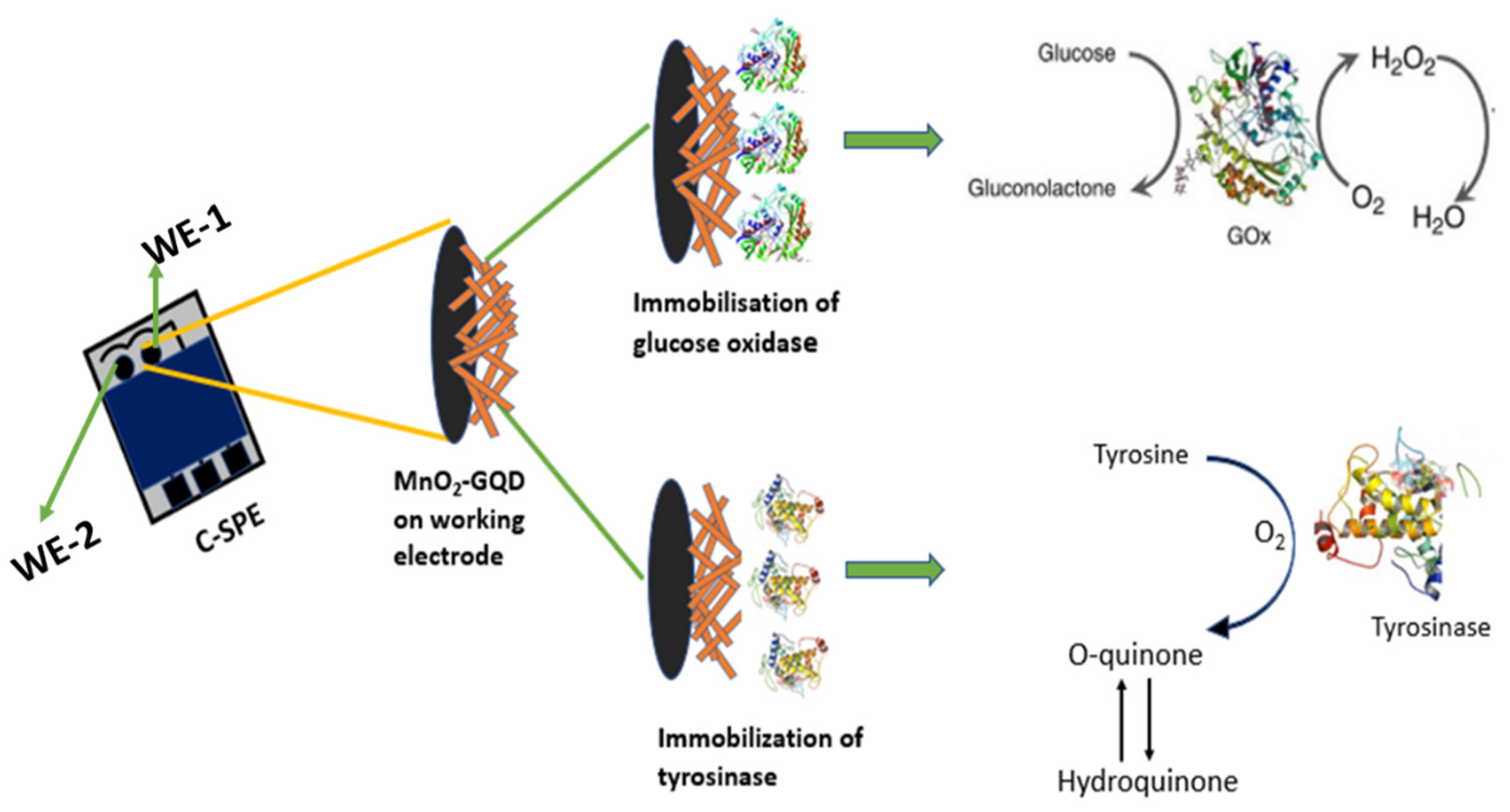 Chemosensors 09 00339 g001