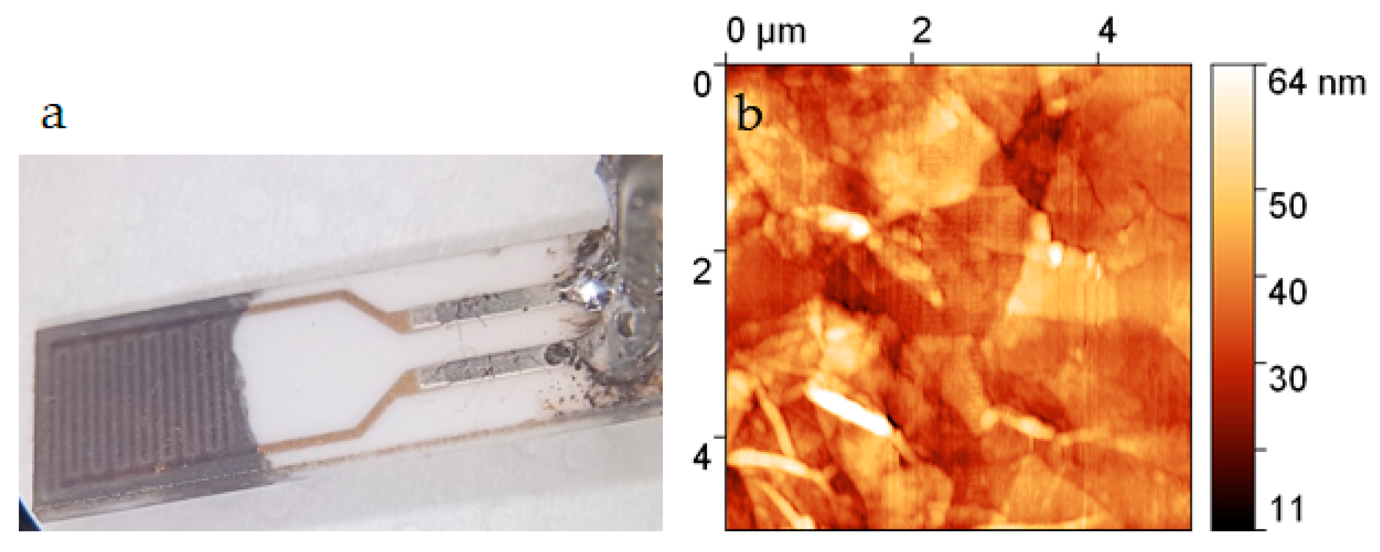 Chemosensors 09 00342 g002