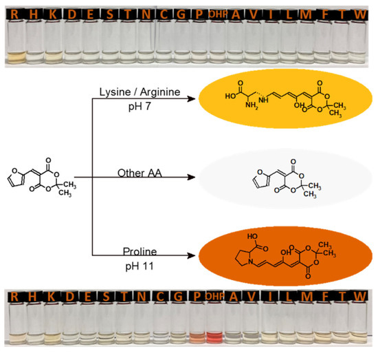 Chemosensors 09 00343 g0a1 550