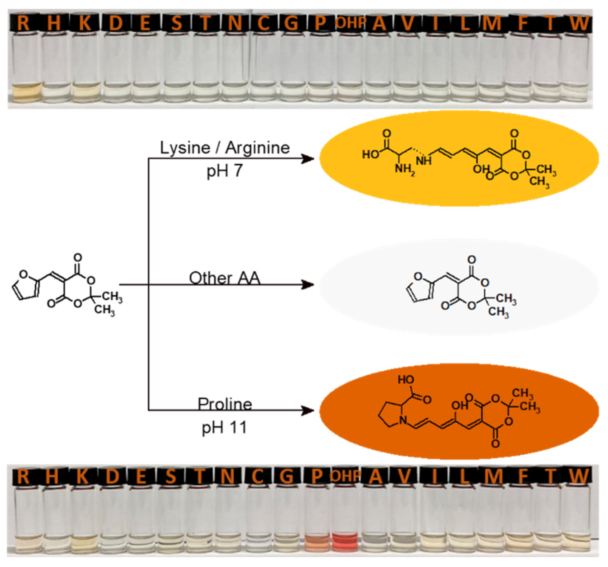 Chemosensors 09 00343 g0a1