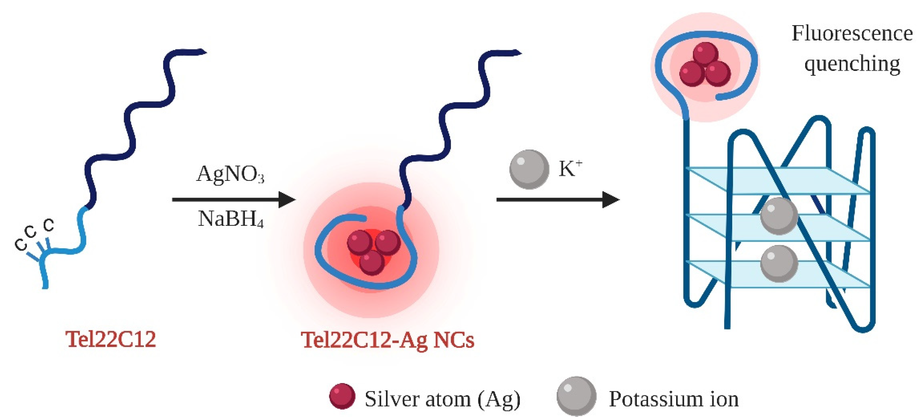 Chemosensors 09 00349 g001