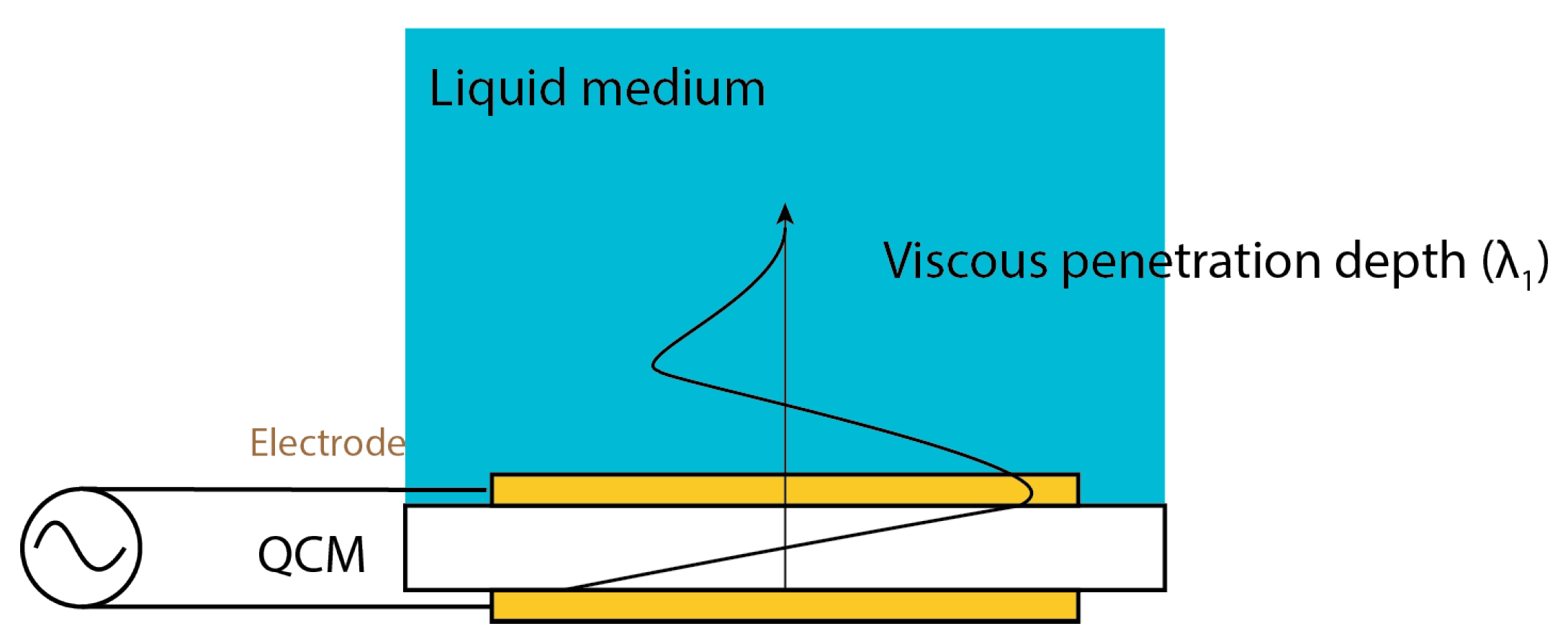 Chemosensors 09 00350 g011 Chemosensors 09 00350 g011