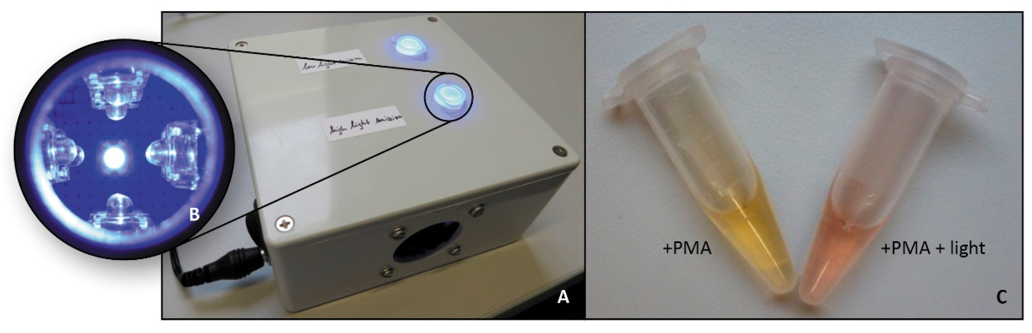 Chemosensors 09 00357 g002
