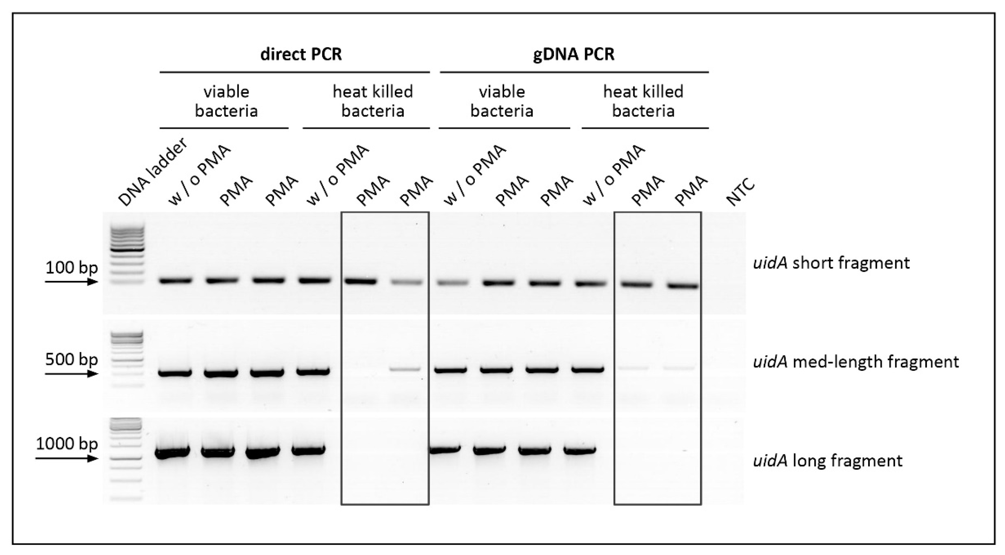Chemosensors 09 00357 g003