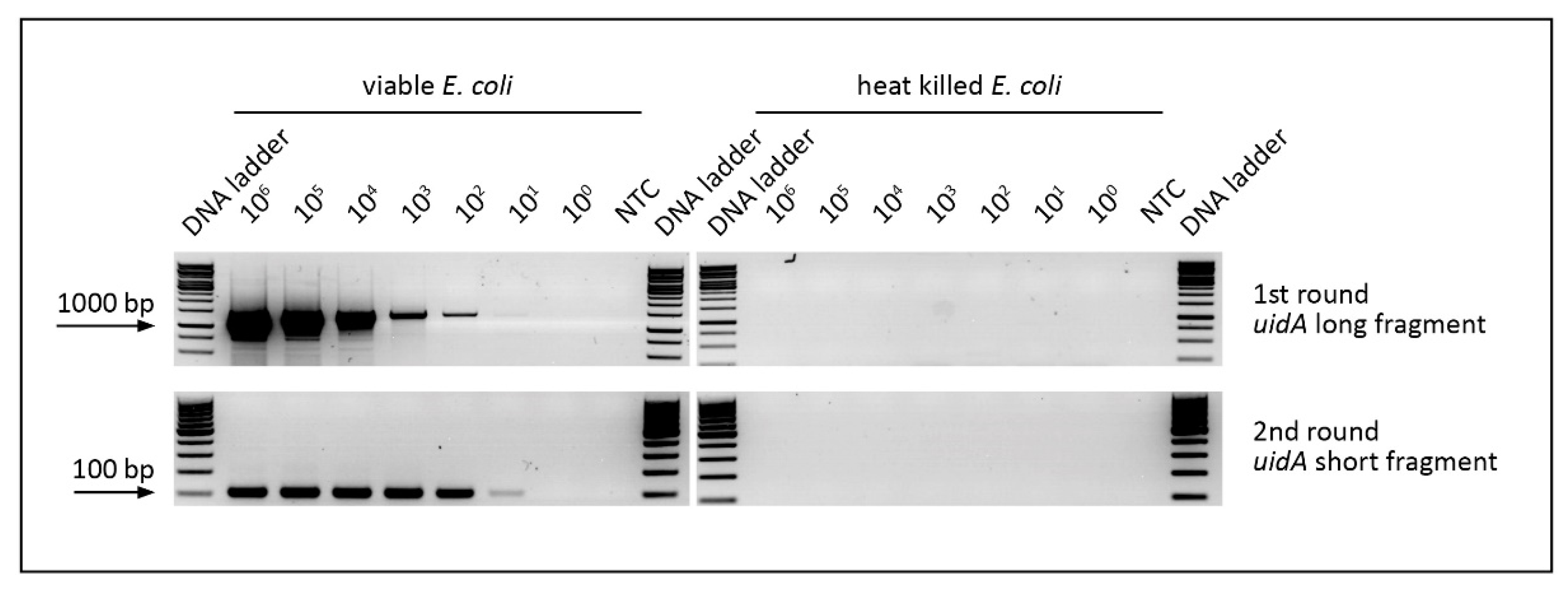 Chemosensors 09 00357 g004