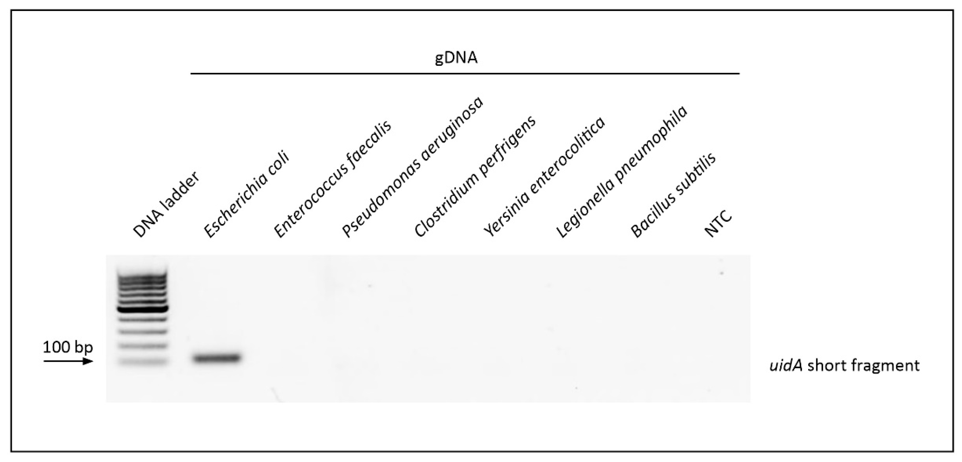 Chemosensors 09 00357 g005