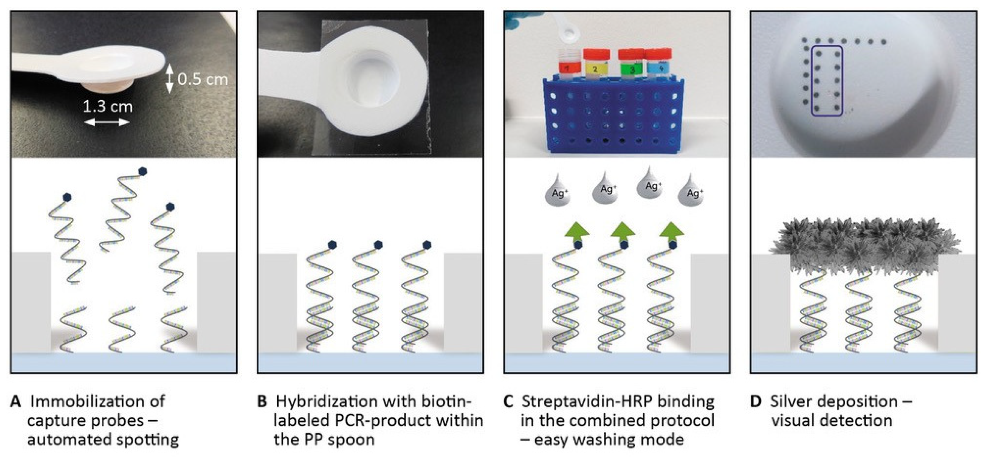 Chemosensors 09 00357 g006